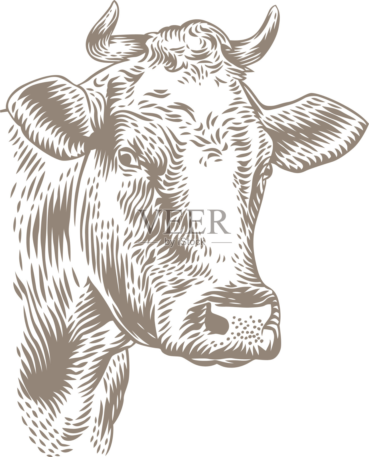 牛头图设计元素图片