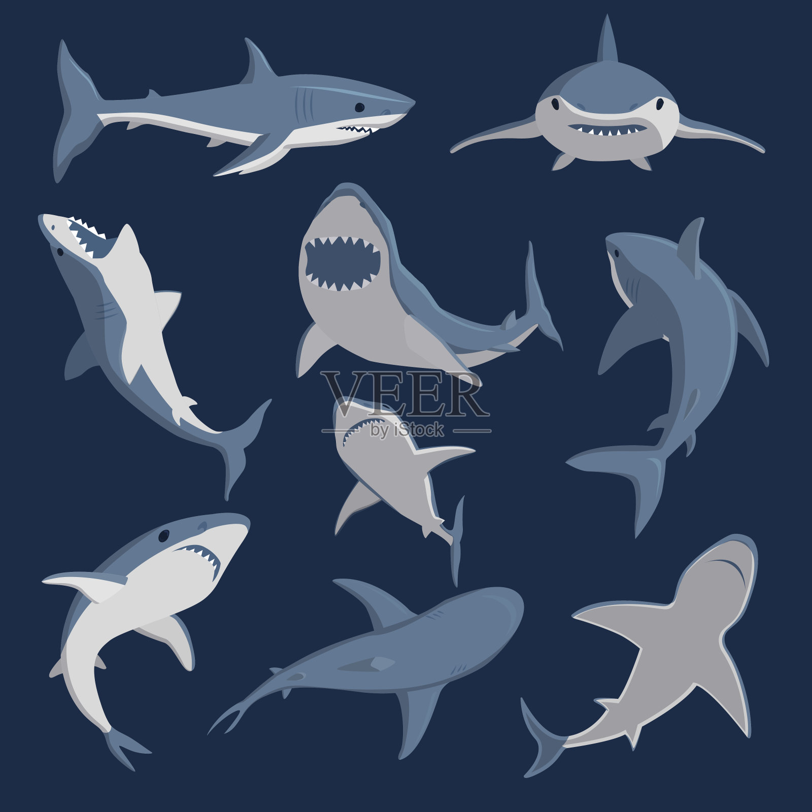 矢量鲨鱼漫画风格的角色野生鱼集插画图片素材