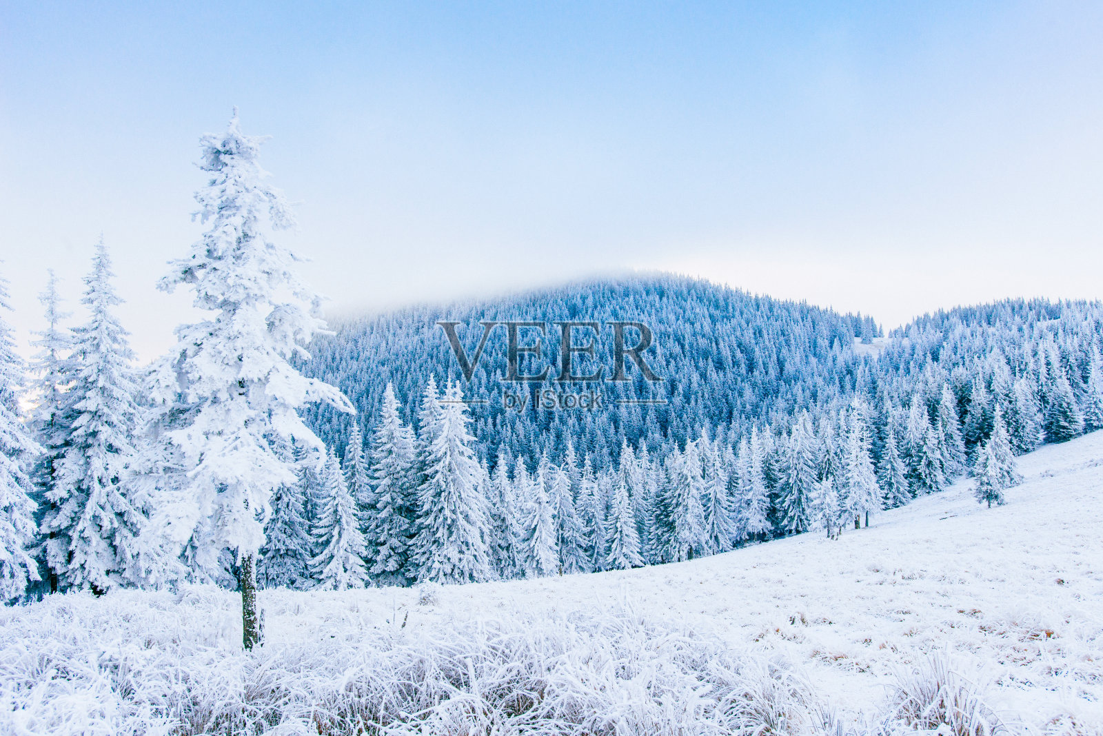 冬季山区的霜冻照片摄影图片