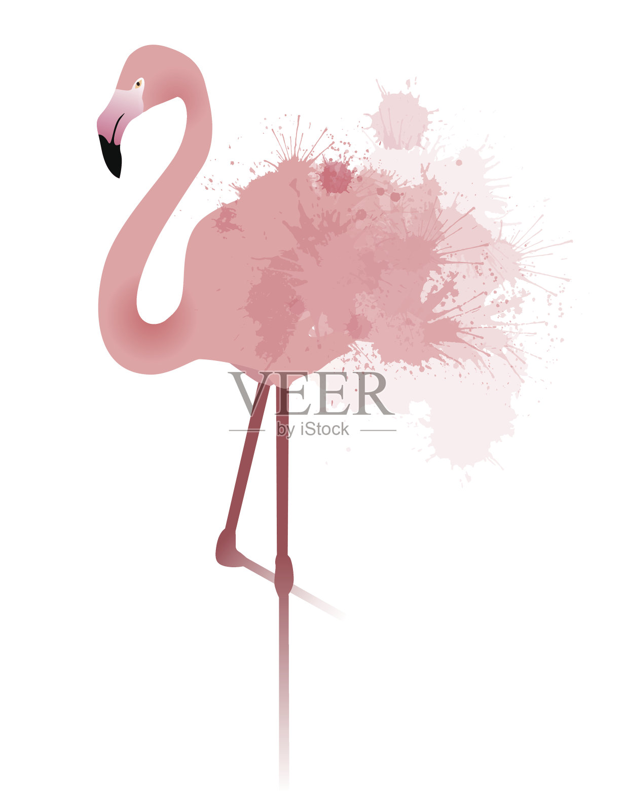 矢量插图的粉红色火烈鸟插画图片素材