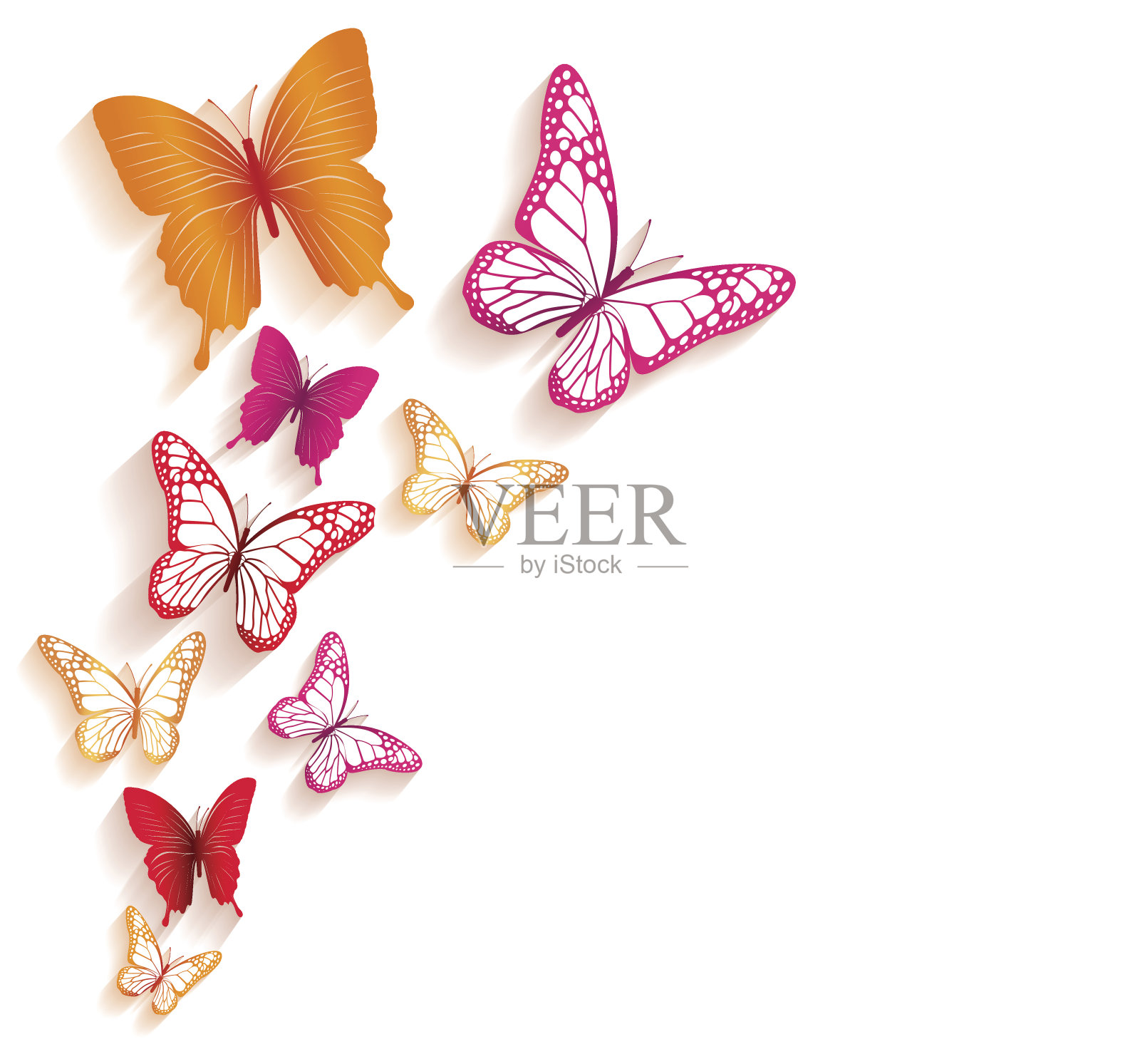 现实的彩色蝴蝶孤立的春天设计元素图片
