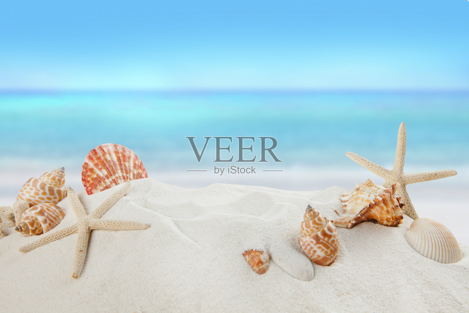 沙滩上的贝壳，夏天的概念照片摄影图片