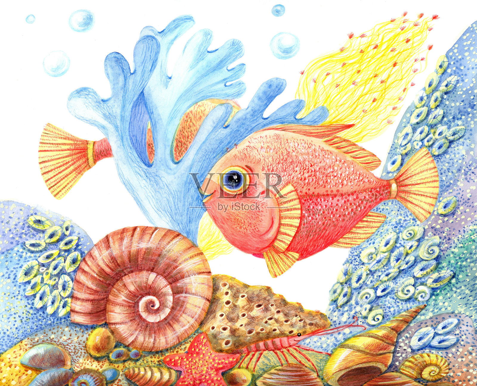 水彩复古水下世界与鱼插画图片素材
