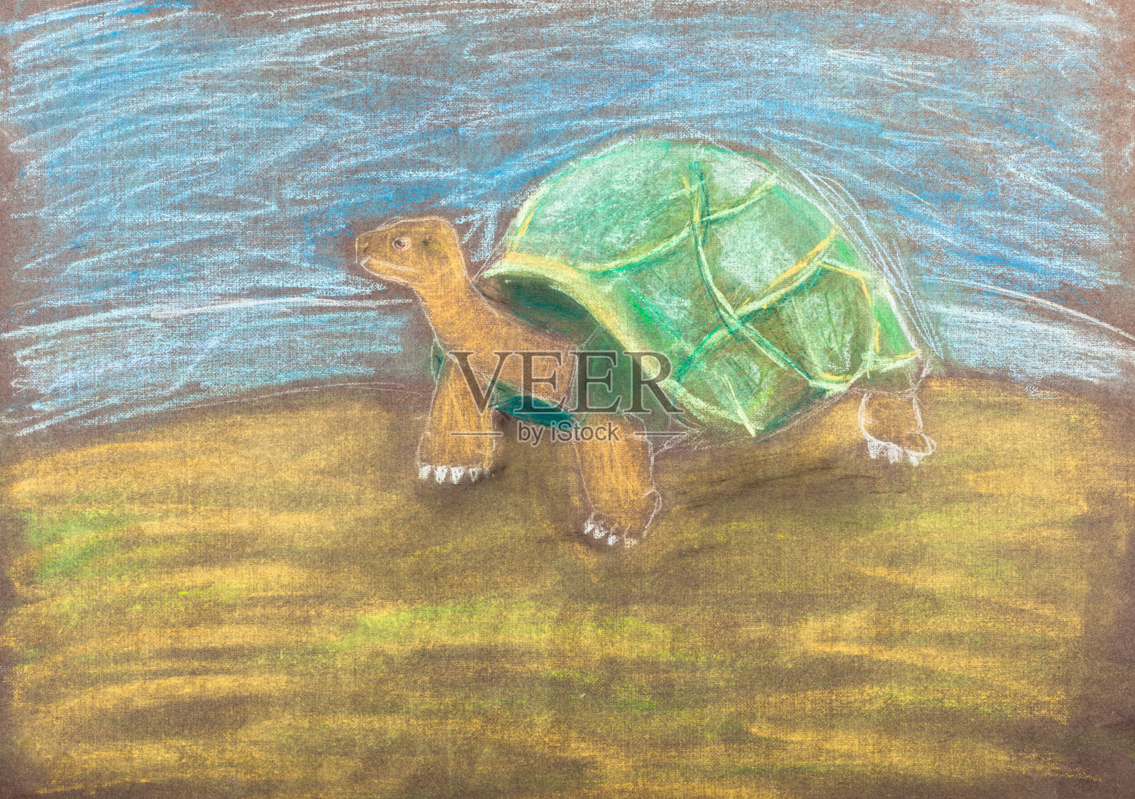 孩子们用干粉笔画海龟插画图片素材
