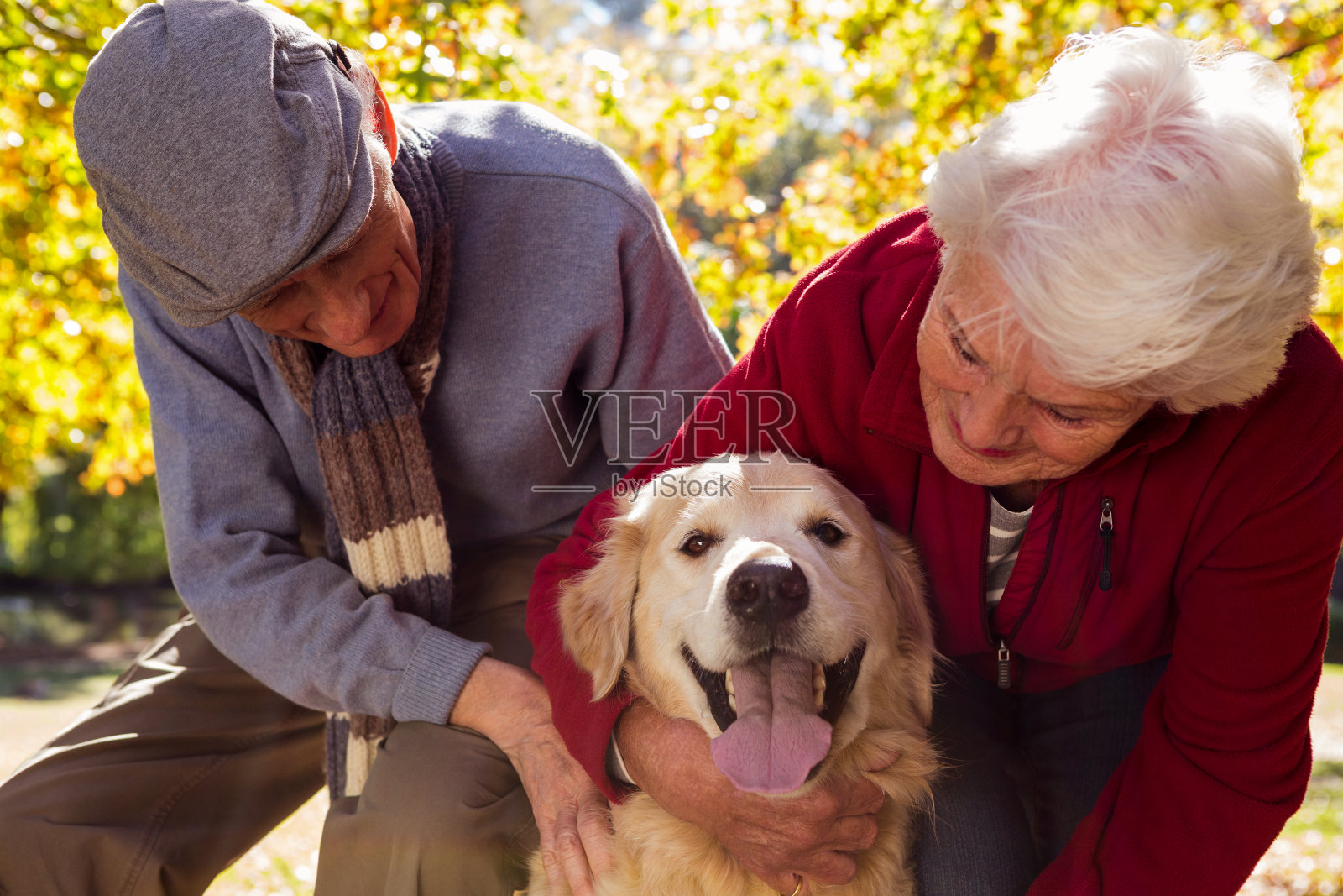 一对老夫妇和他们的宠物狗照片摄影图片