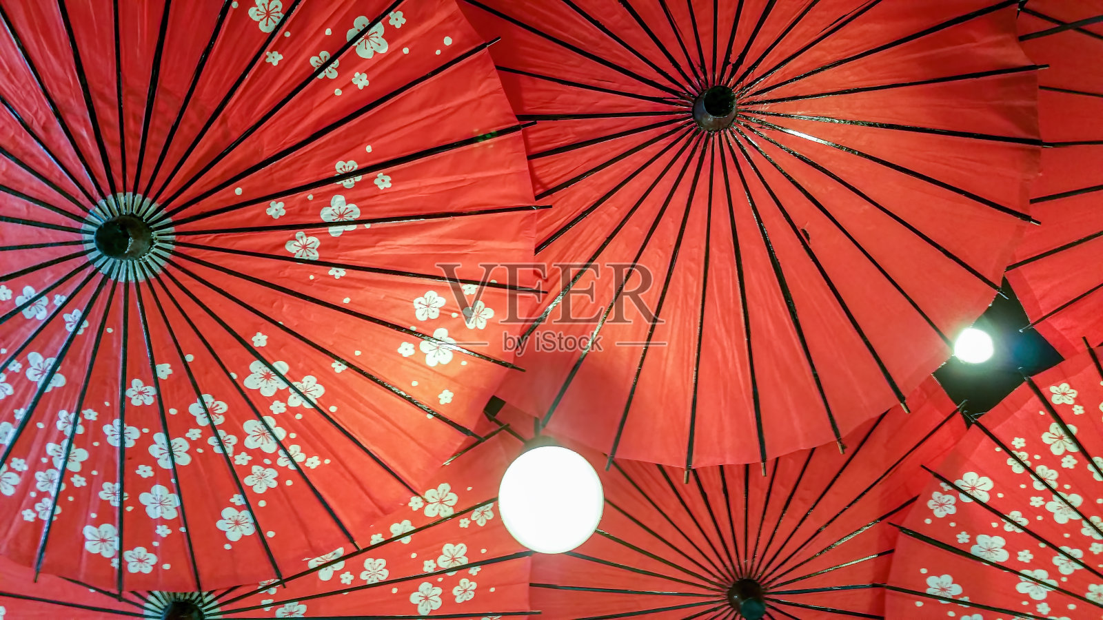 樱花图案的雨伞插画图片素材