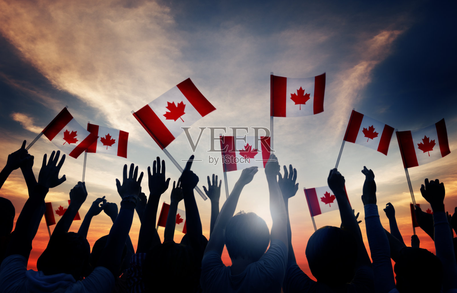 一群人挥舞着加拿大国旗照片摄影图片