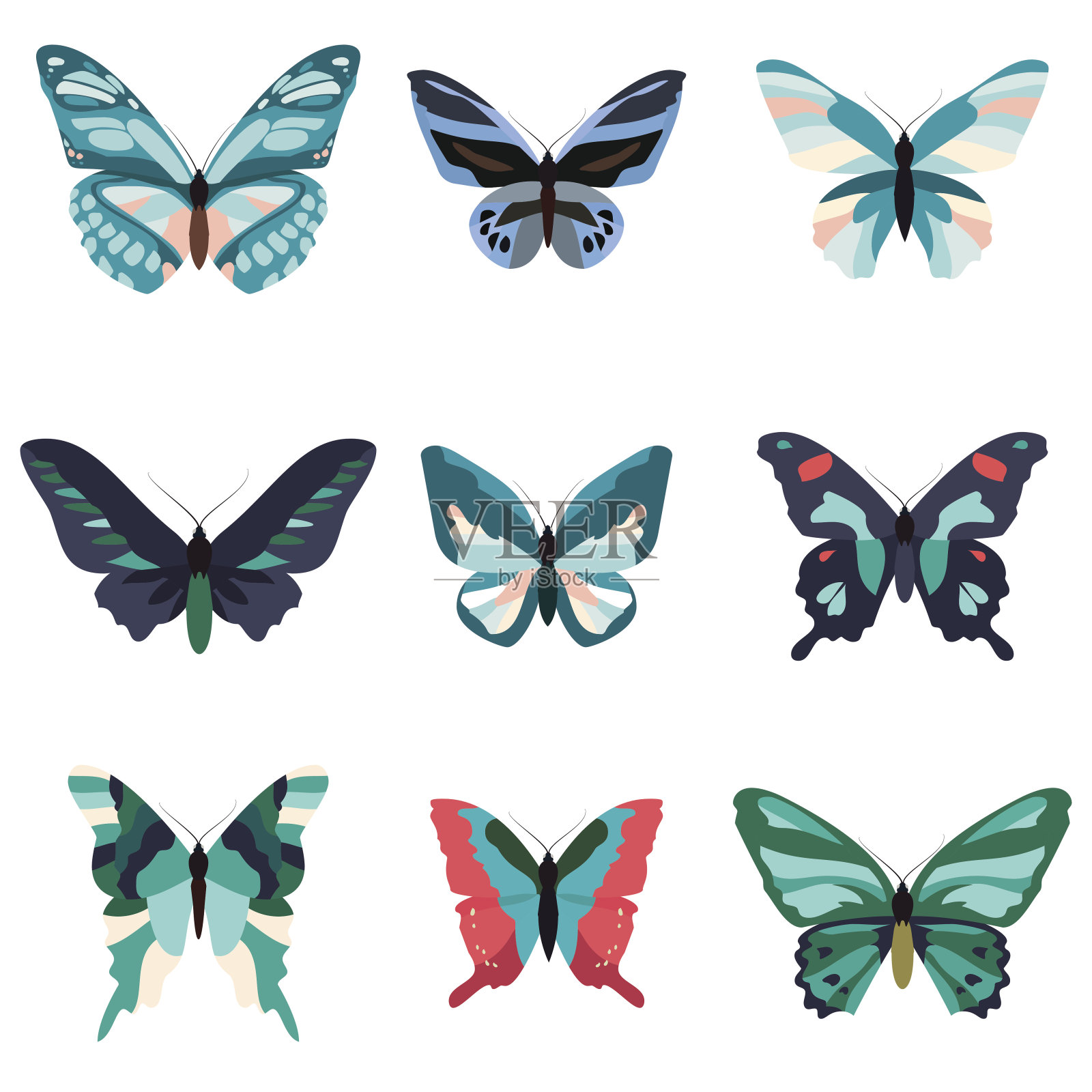 收集了大量五颜六色的蝴蝶。孤立在白色的。插画图片素材