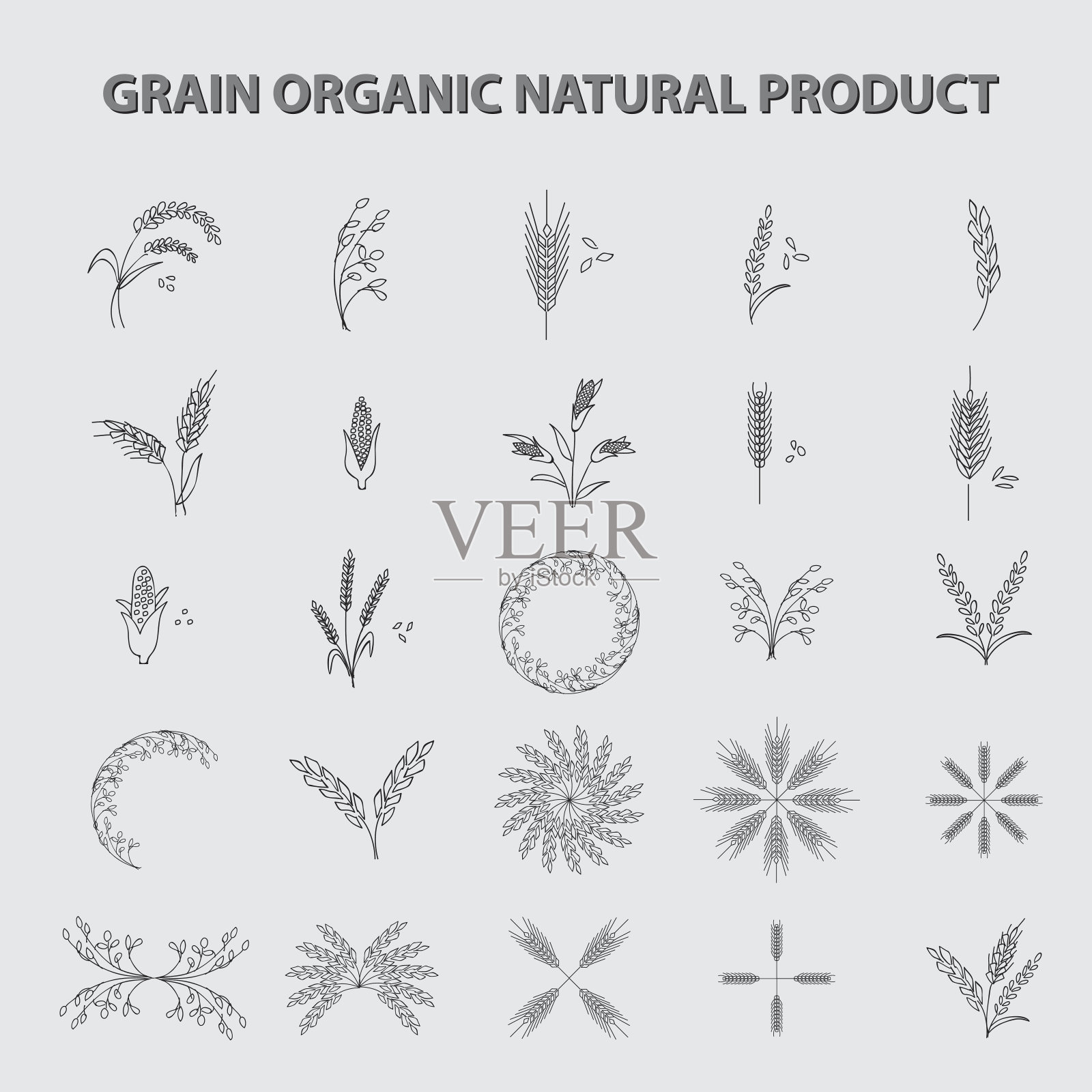 集谷物有机天然产品。概念向量插图插画图片素材