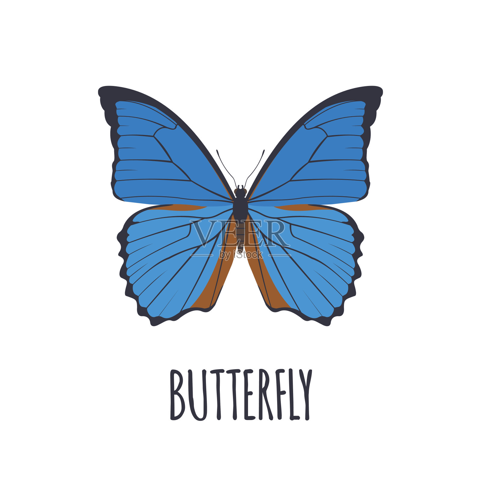 现实蝴蝶在平面风格。设计元素图片