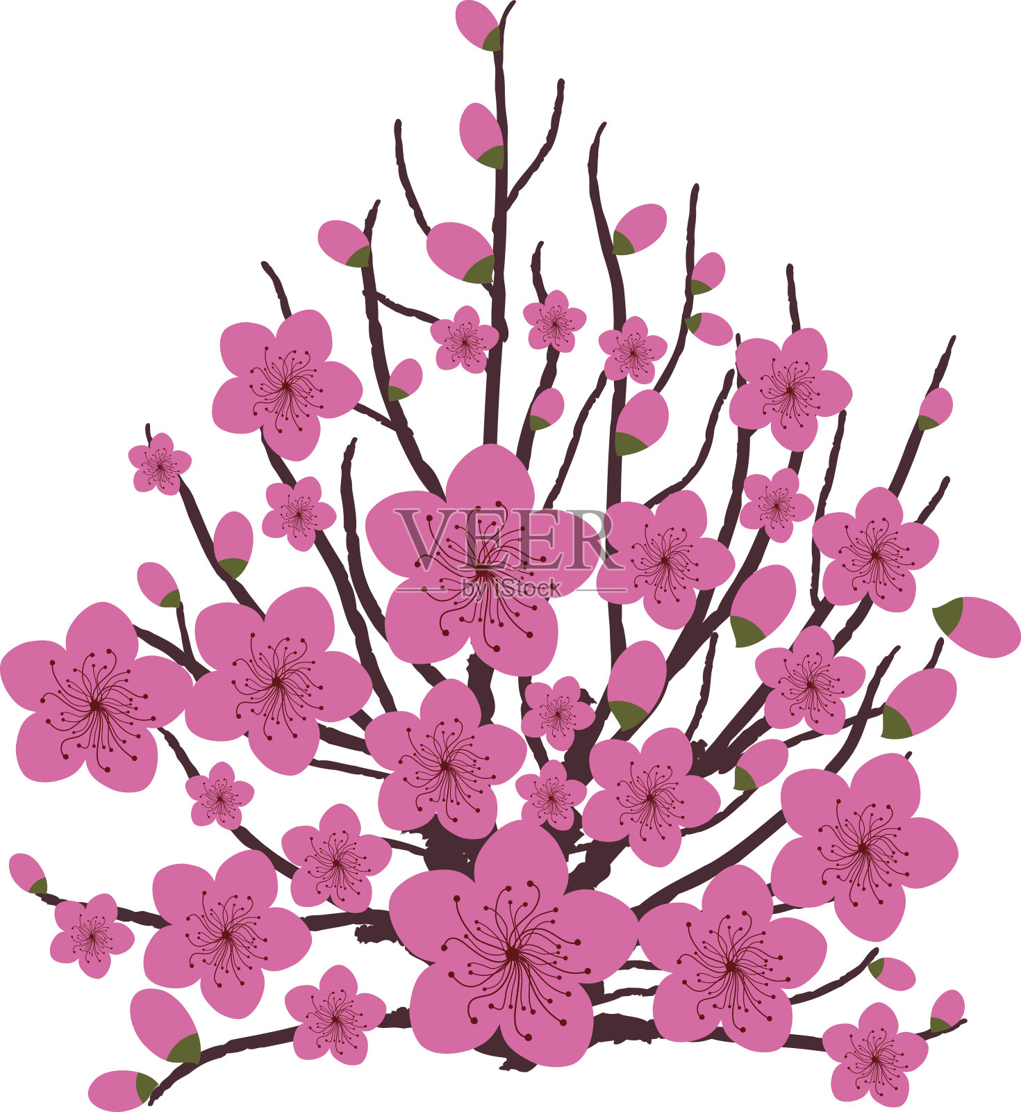 日本的梅花设计元素图片