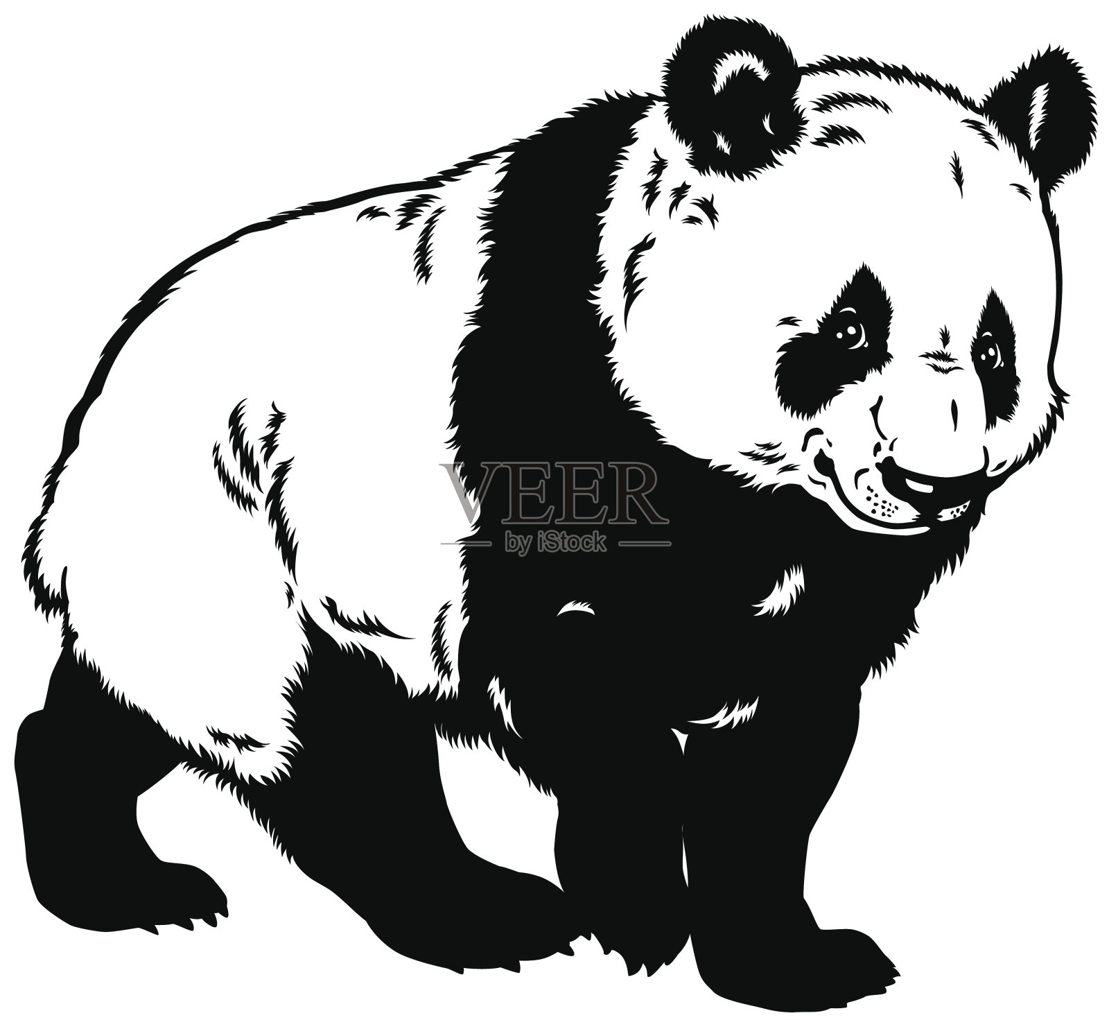 大熊猫黑白相间设计元素图片