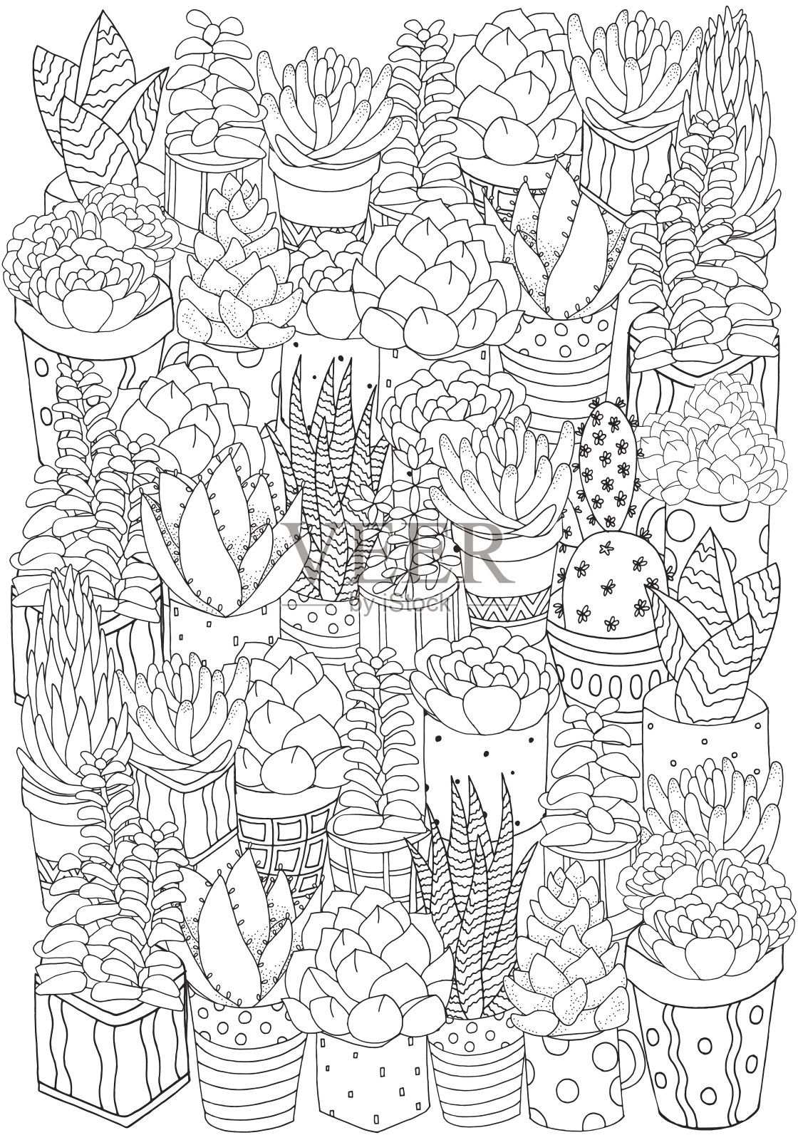 手绘一套多肉植物，仙人掌和花盆。插画图片素材
