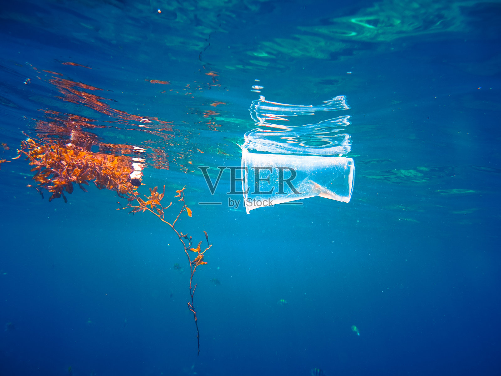 塑料海洋污染漂浮全球环境问题照片摄影图片