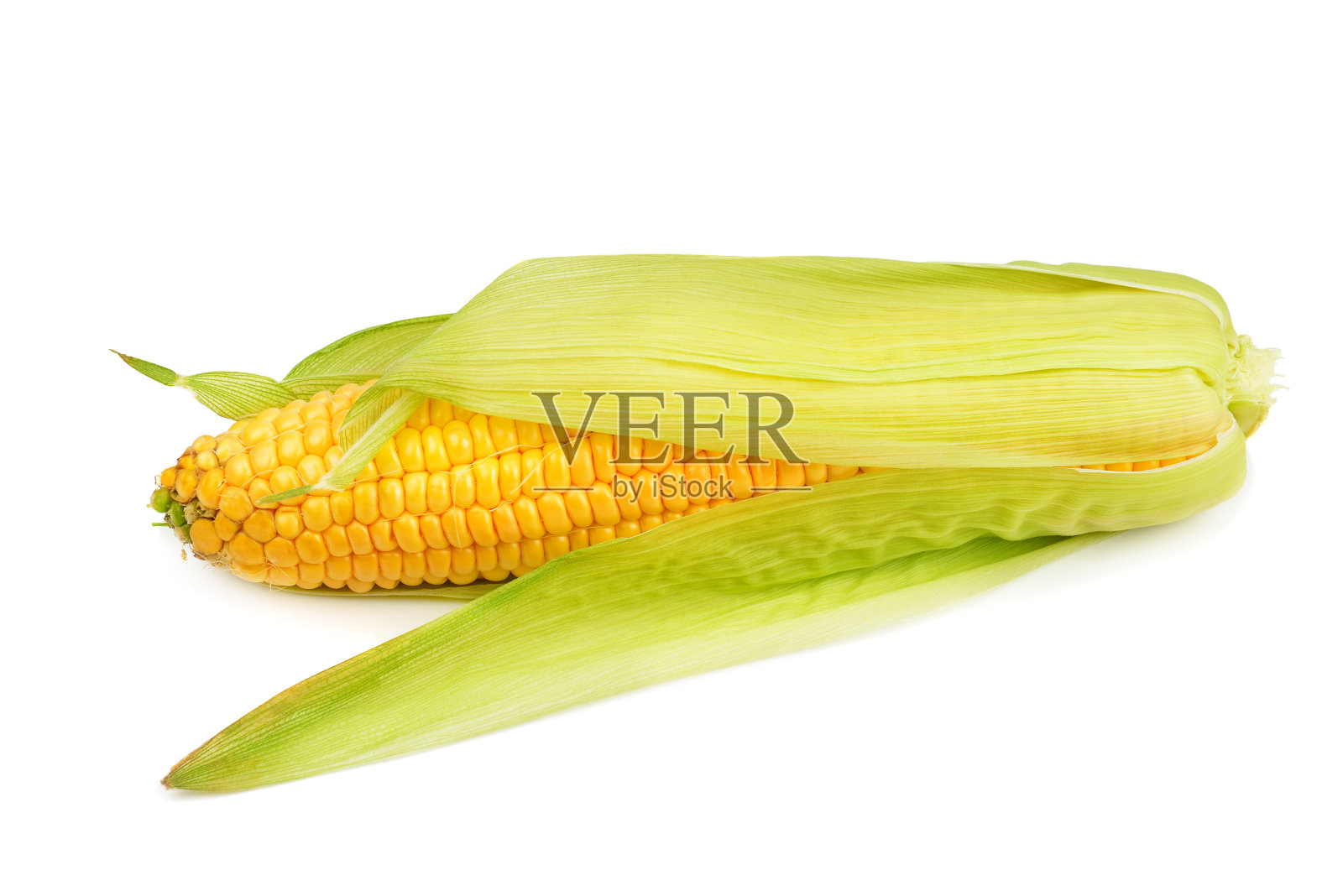 白色背景上的玉米芯照片摄影图片