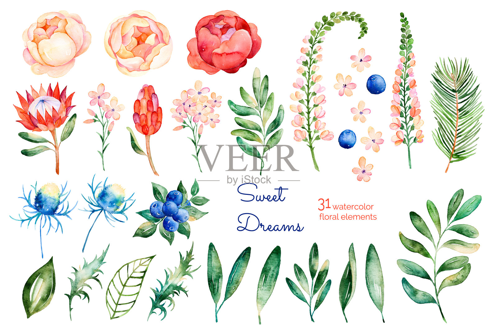 五颜六色的花卉集合插画图片素材