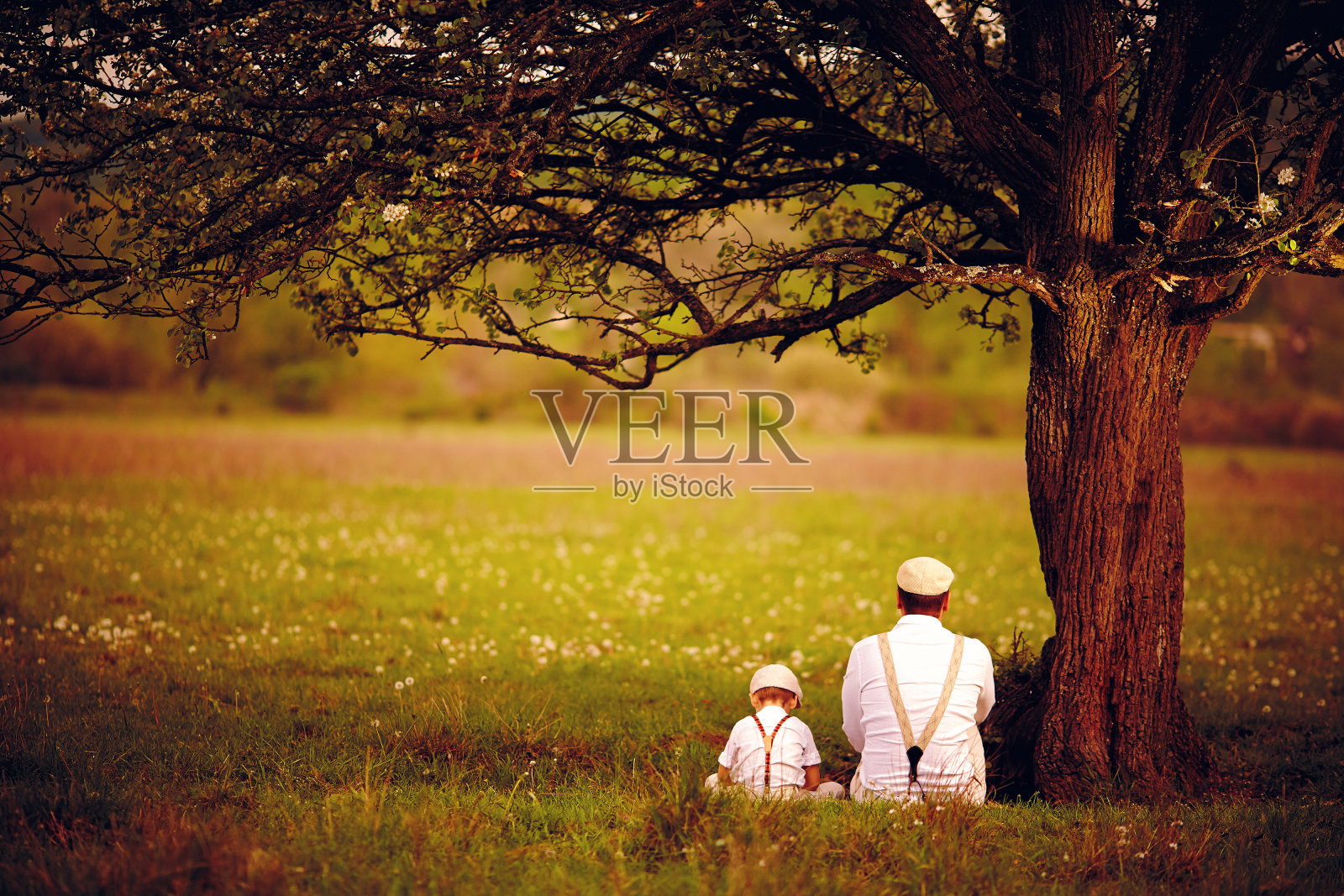 父亲和儿子坐在树下春天的草坪上照片摄影图片