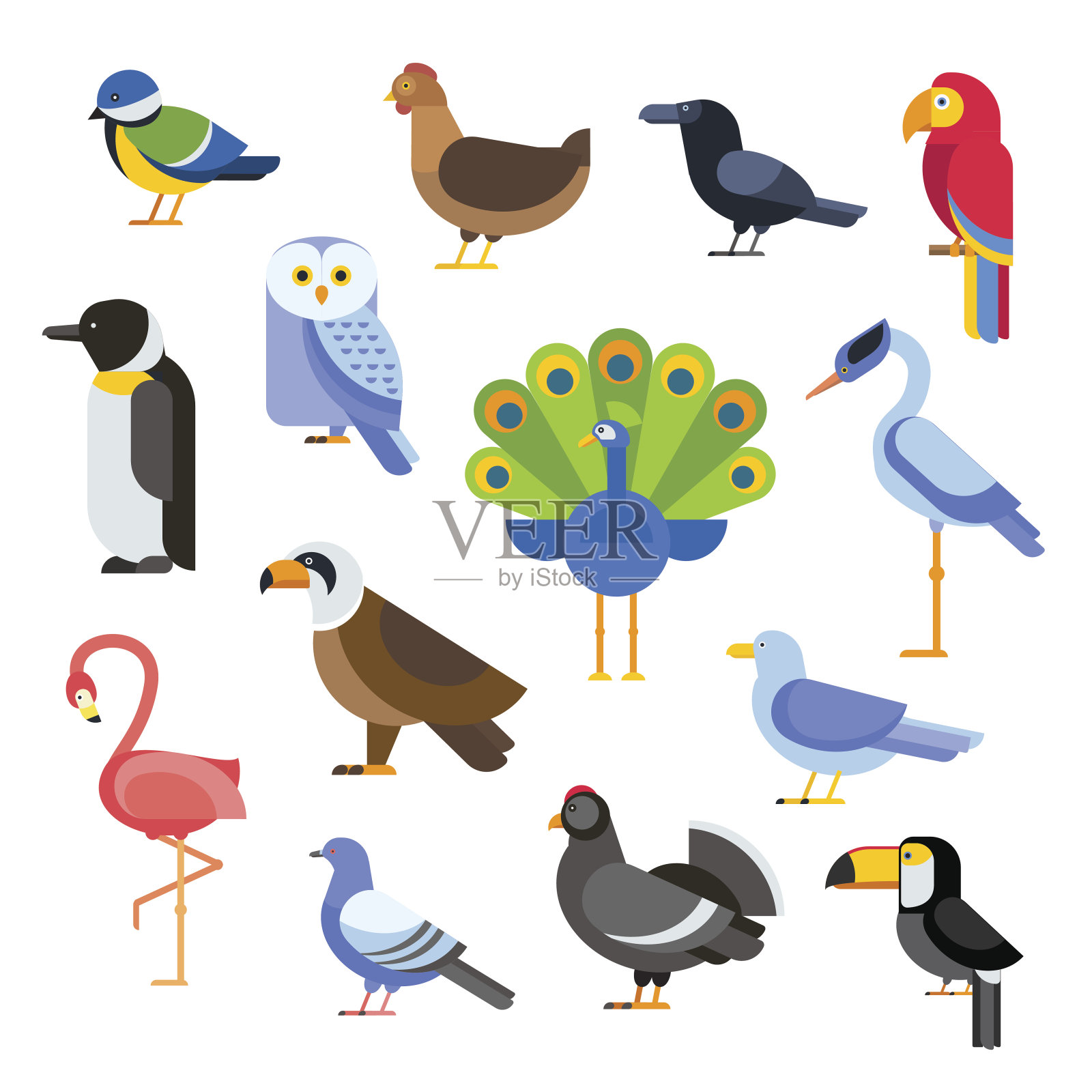 鸟类矢量设置插图。鹰，鹦鹉，鸽子和巨嘴鸟。企鹅插画图片素材