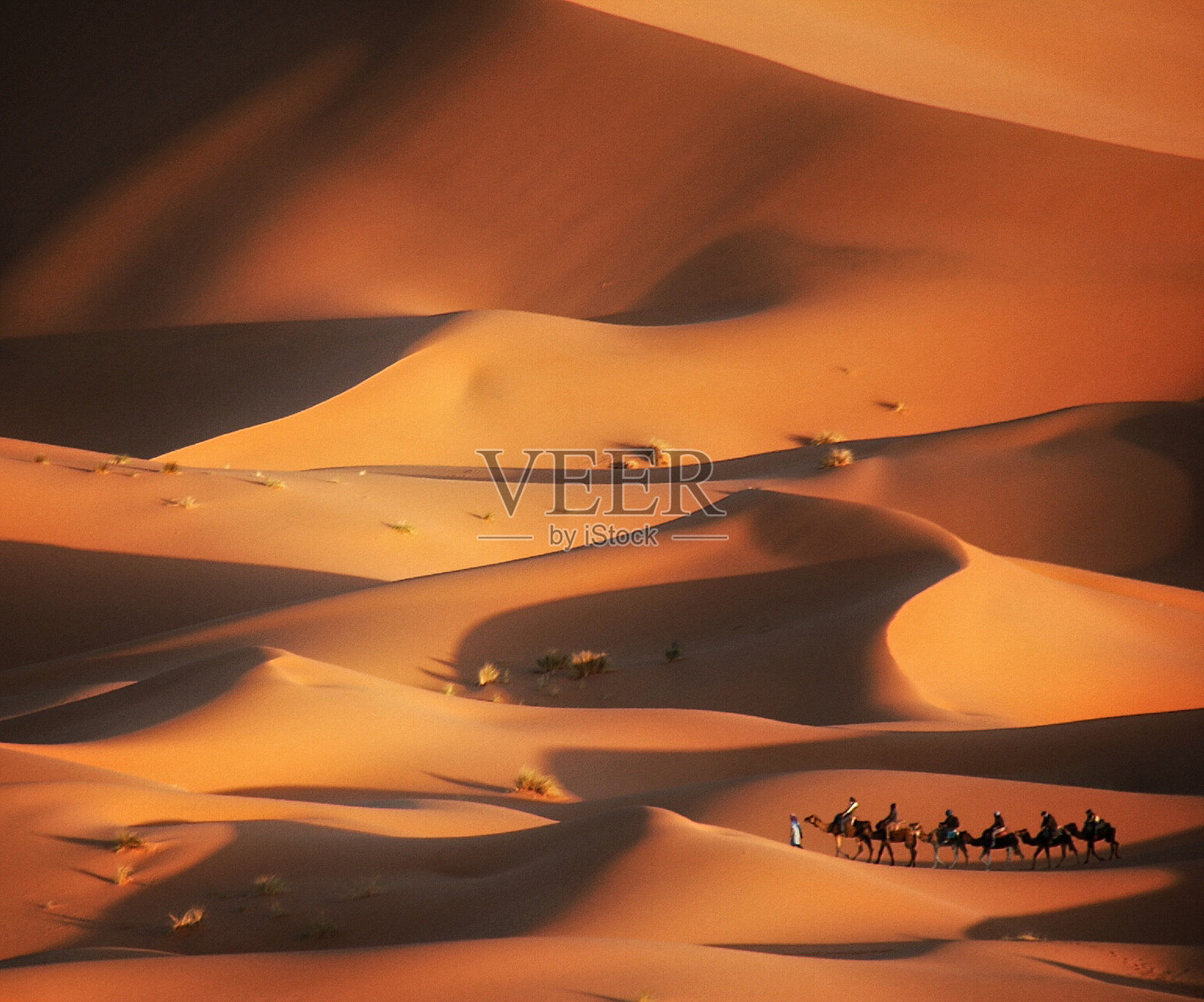 摩洛哥梅尔祖加沙漠中的商队照片摄影图片
