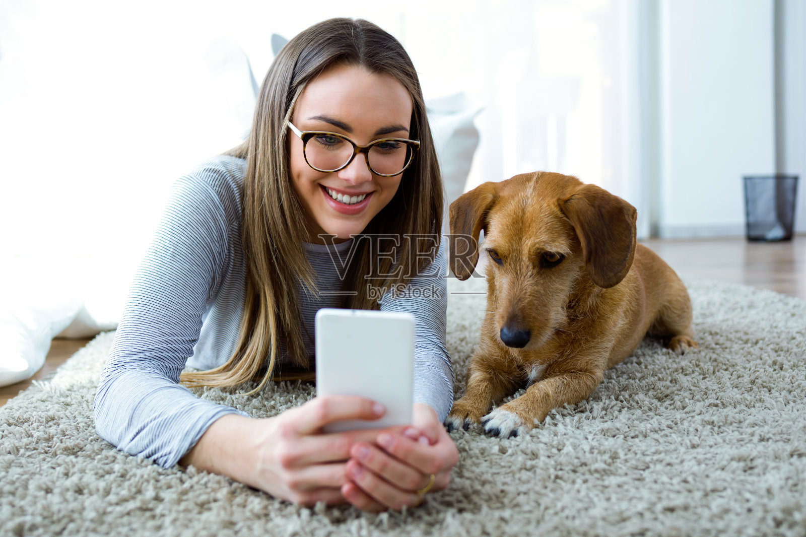 年轻女子和她的狗在家里使用手机。照片摄影图片