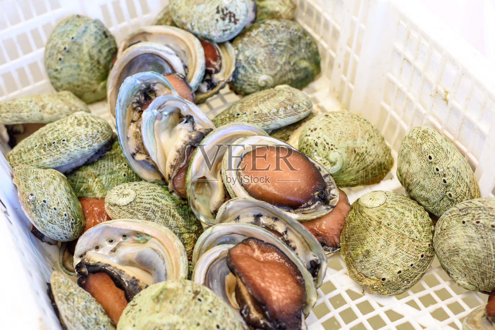 澳大利亚海鲜市场出售活鲍鱼照片摄影图片