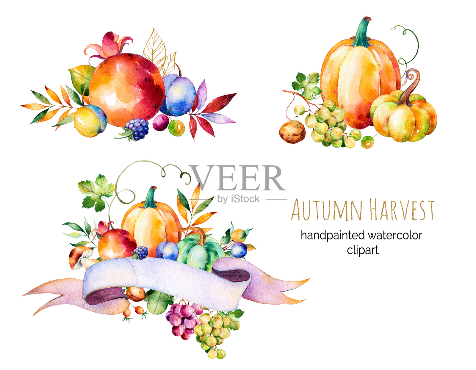 色彩缤纷的秋季收集与秋天的树叶，树枝，浆果，黑莓，蘑菇插画图片素材