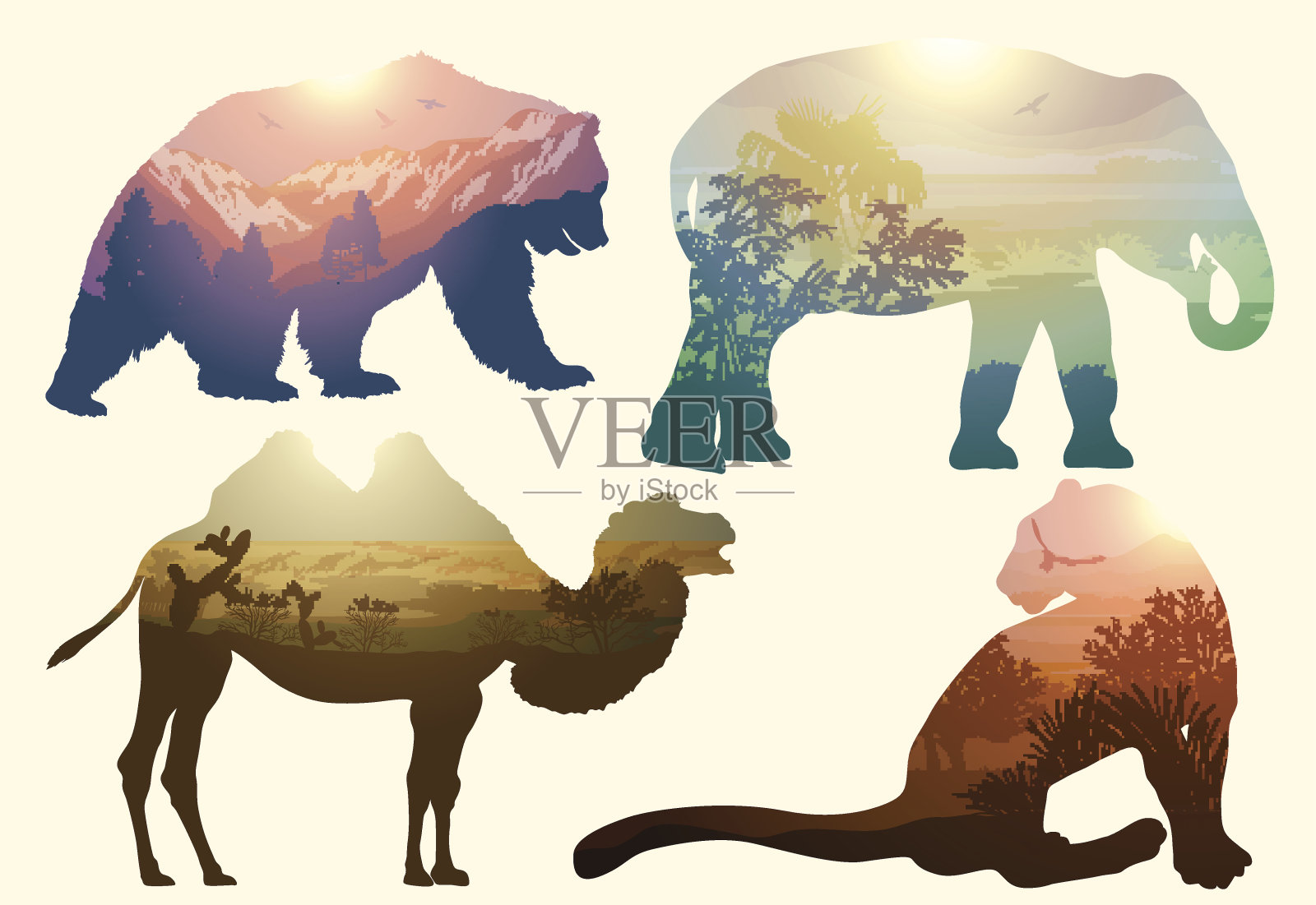 熊，大象，骆驼和豹为您的设计，野生动物的概念插画图片素材