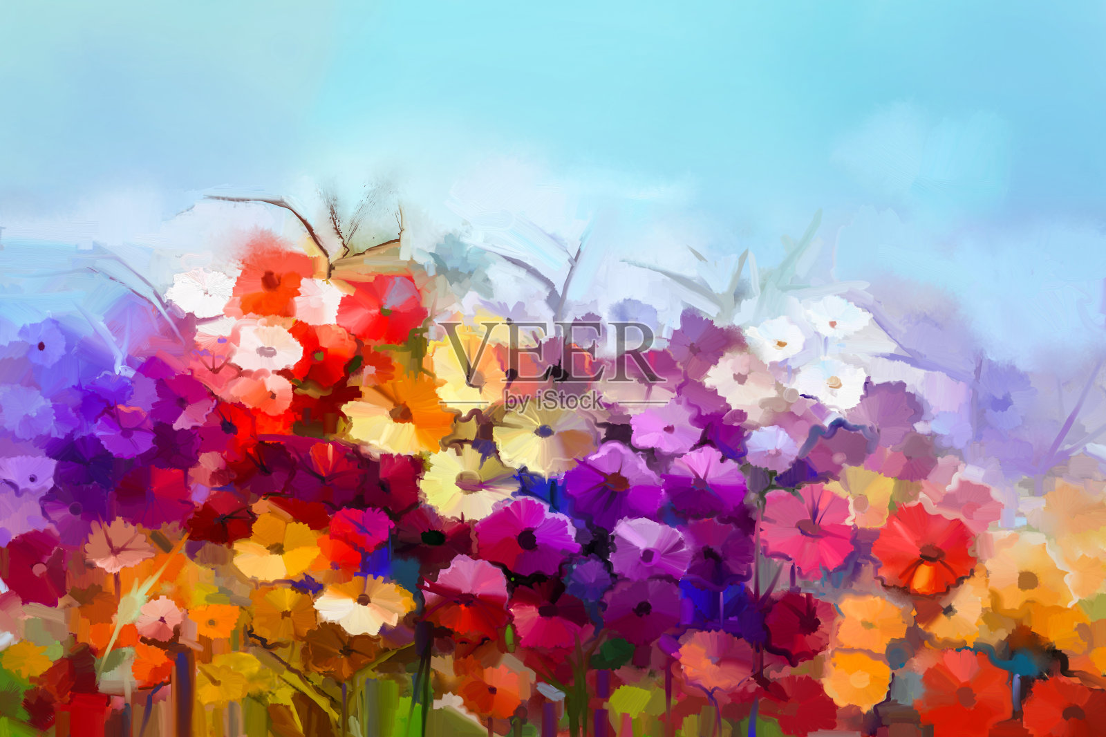 油画白、黄、红的雏菊，田间的非洲菊插画图片素材