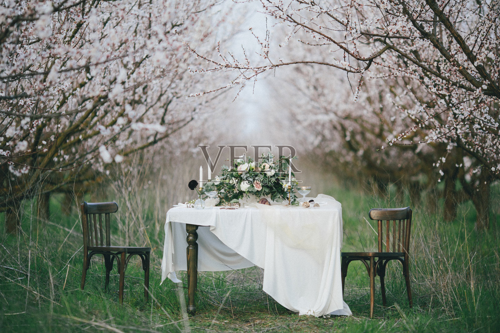 节日餐桌在鲜花盛开的花园里照片摄影图片