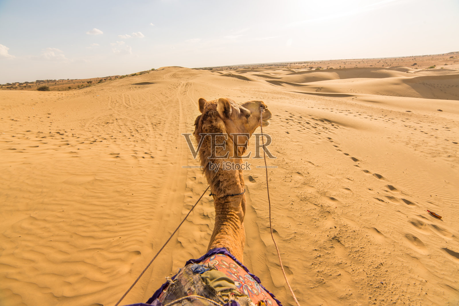 印度拉贾斯坦邦塔尔沙漠上的骆驼骑士观照片摄影图片