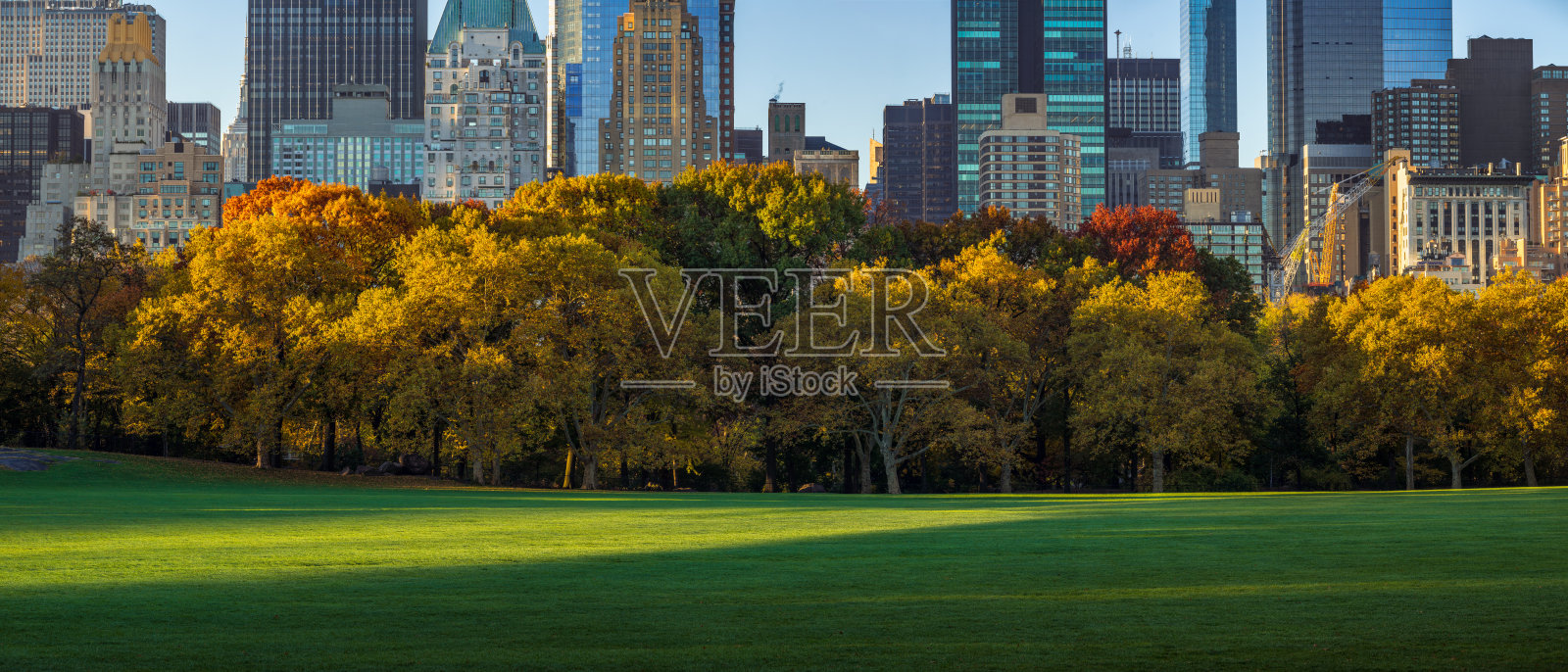 秋天的中央公园、绵羊草地和摩天大楼。纽约照片摄影图片