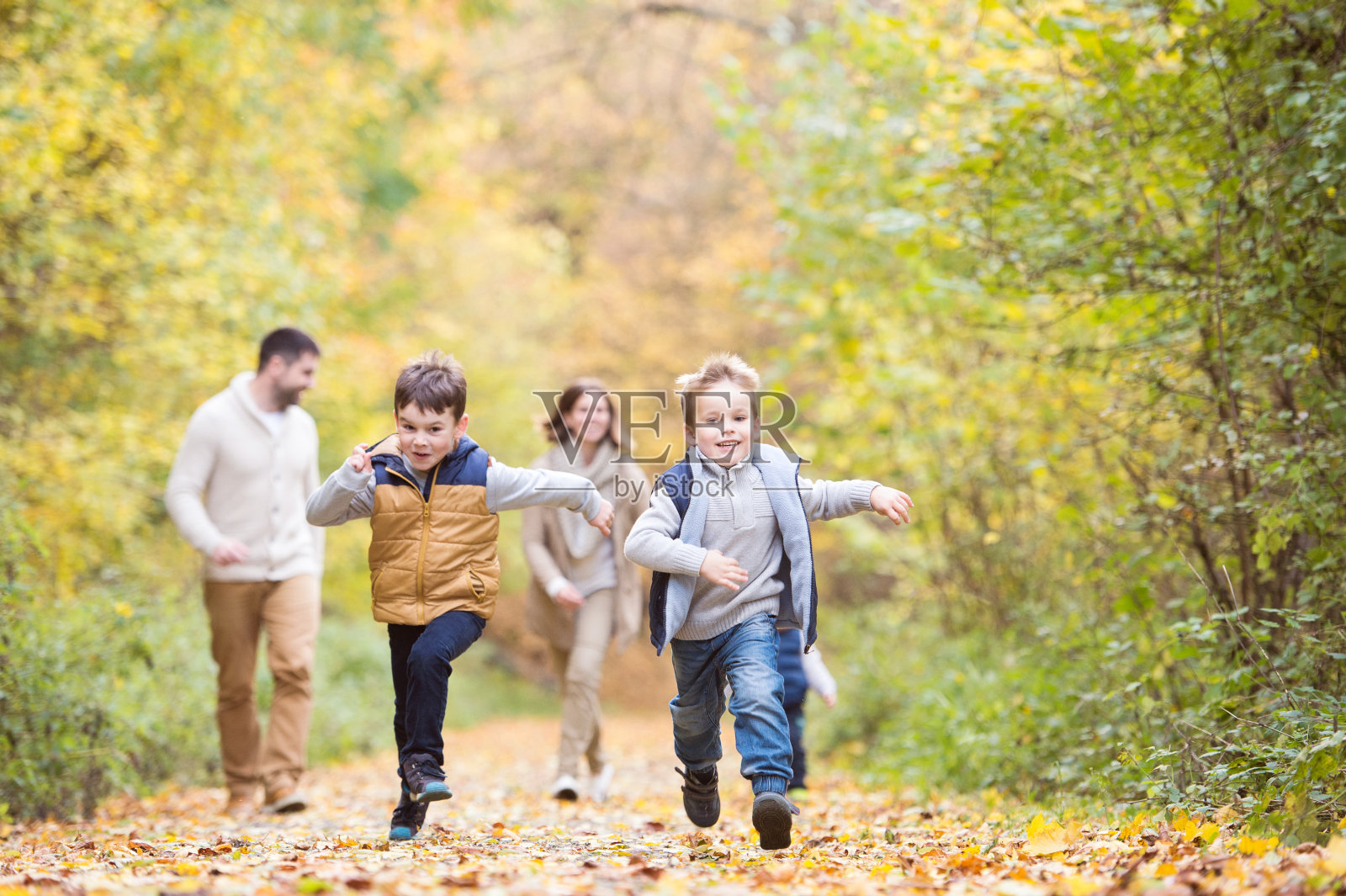 美丽的年轻家庭漫步在秋天的森林里。照片摄影图片