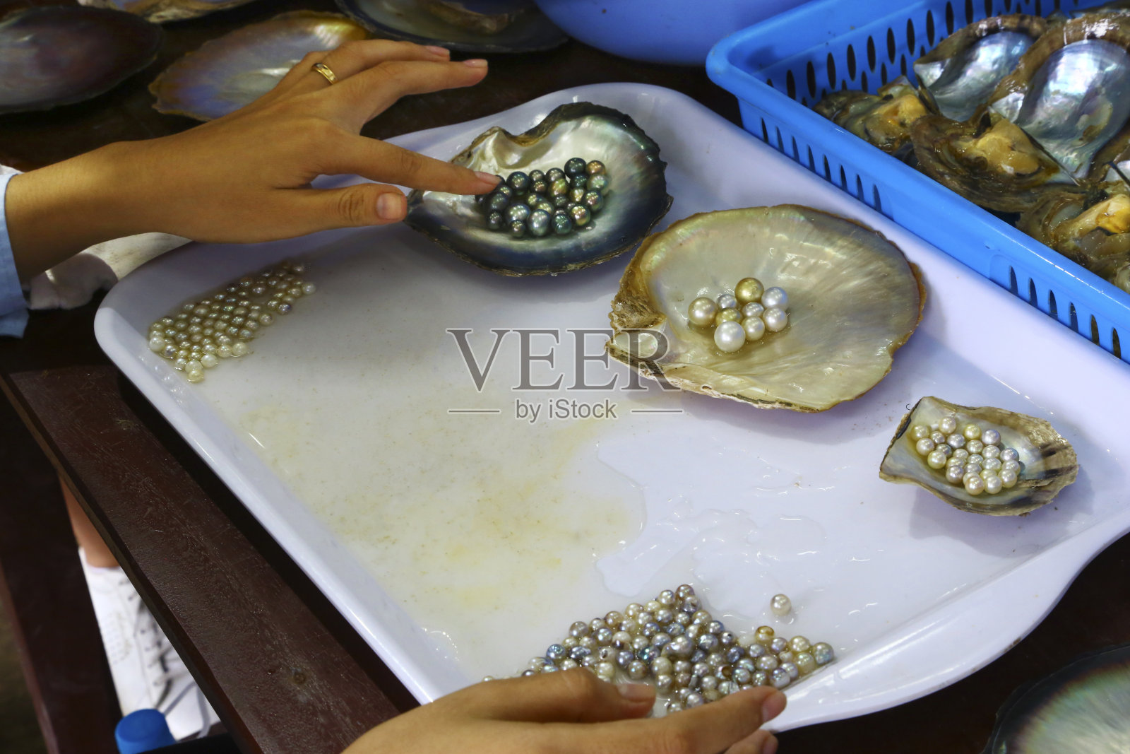 珍珠是从牡蛎中提取的照片摄影图片