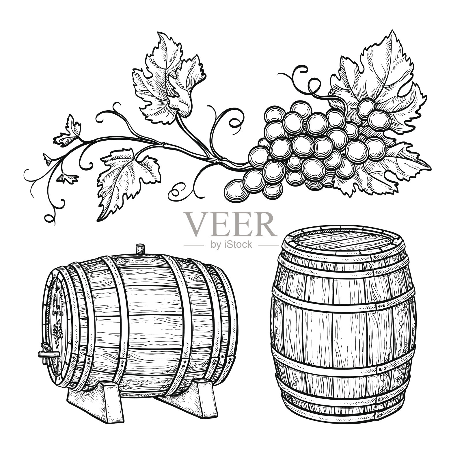 葡萄枝和酒桶。插画图片素材
