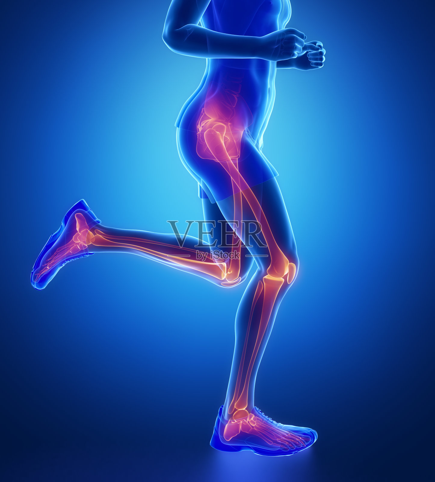 膝盖，臀部，脚踝跑步男人腿扫描在蓝色照片摄影图片