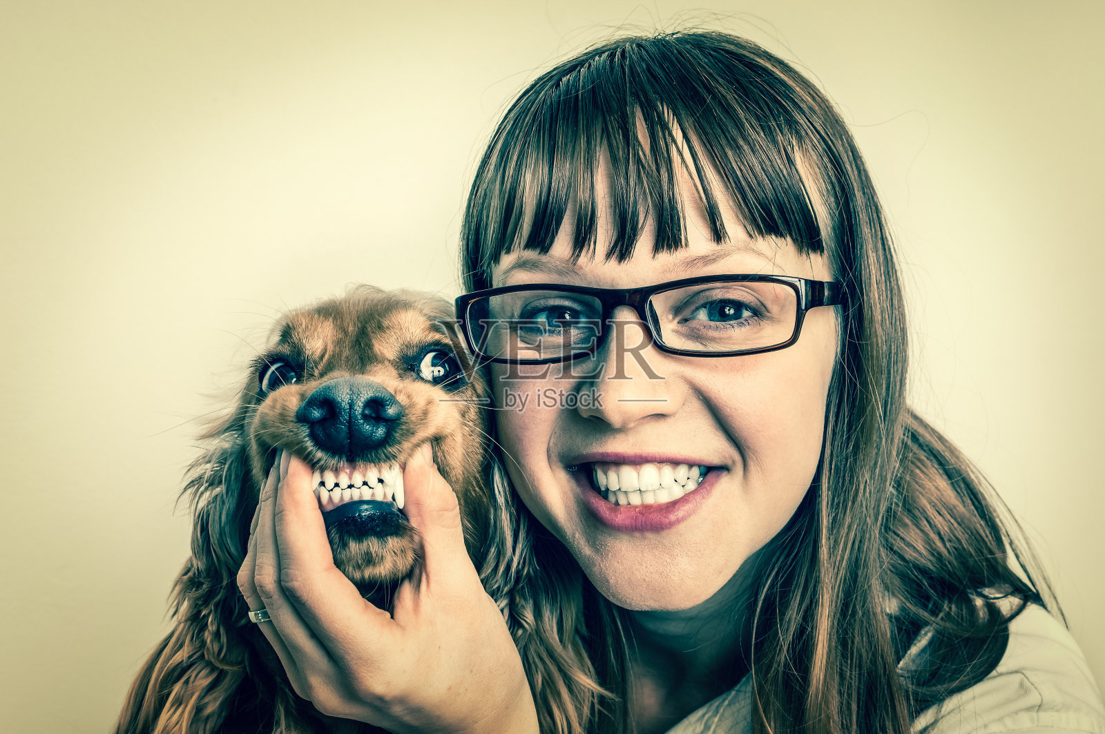 滑稽微笑的狗和兽医在兽医诊所照片摄影图片
