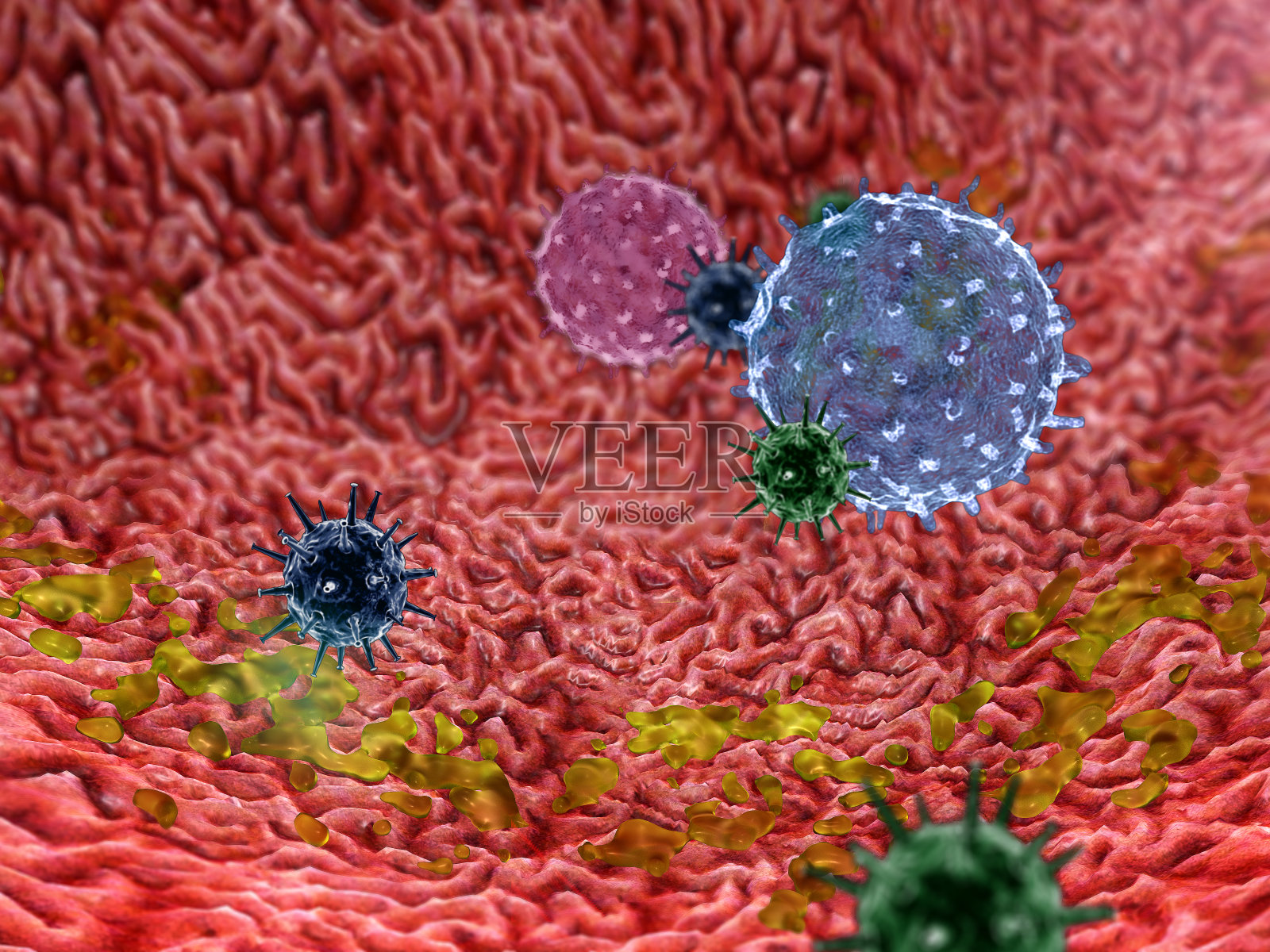 巨细胞病毒图片高清图片