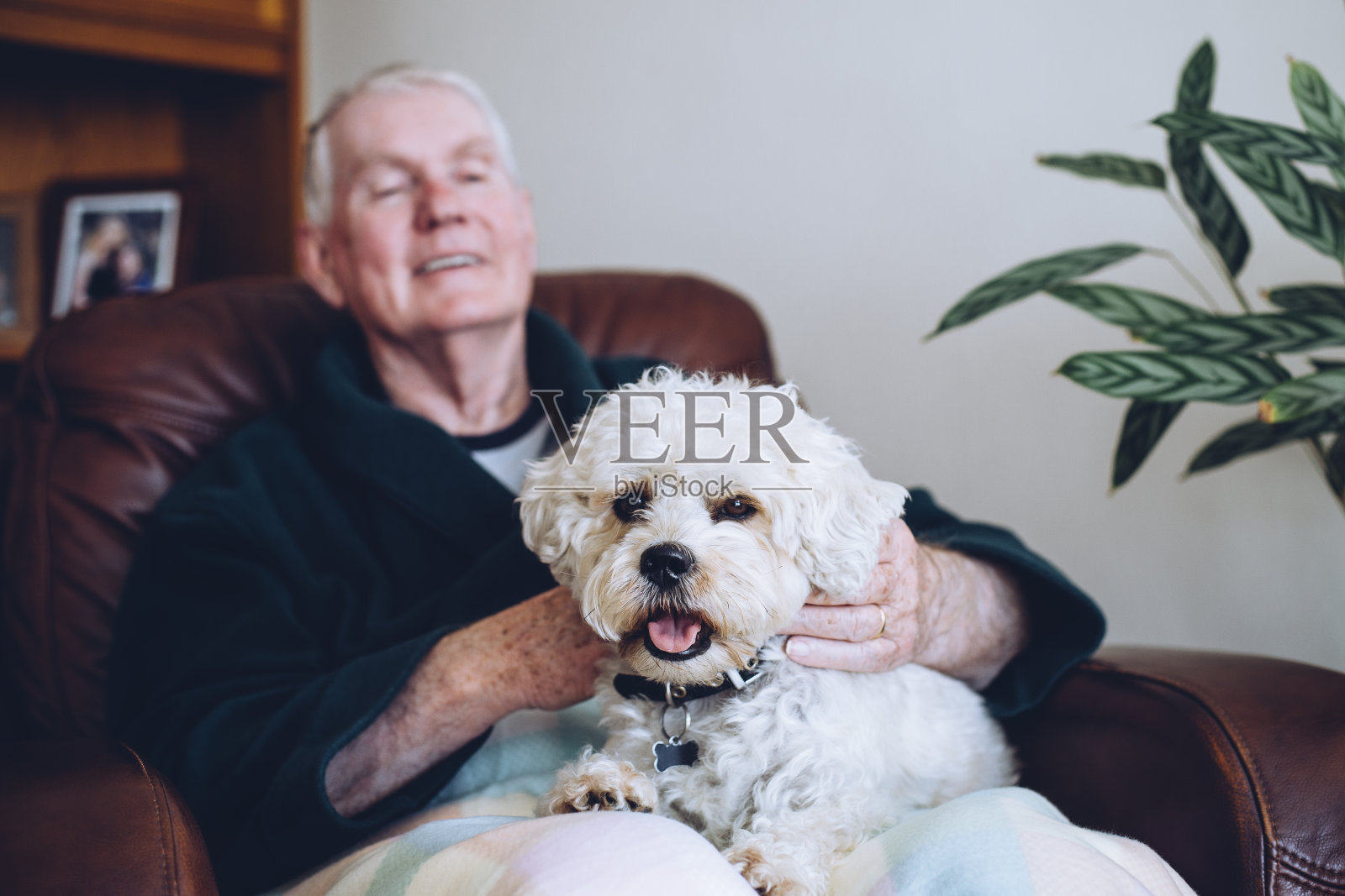 老人和他的狗照片摄影图片