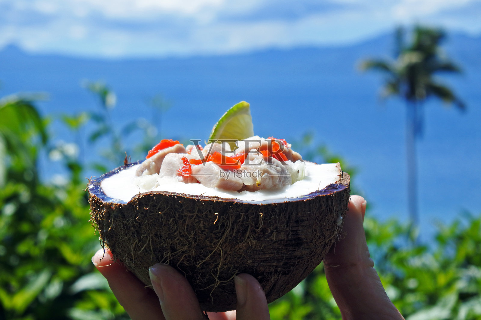 斐济食物Kokoda对抗热带岛屿景观照片摄影图片
