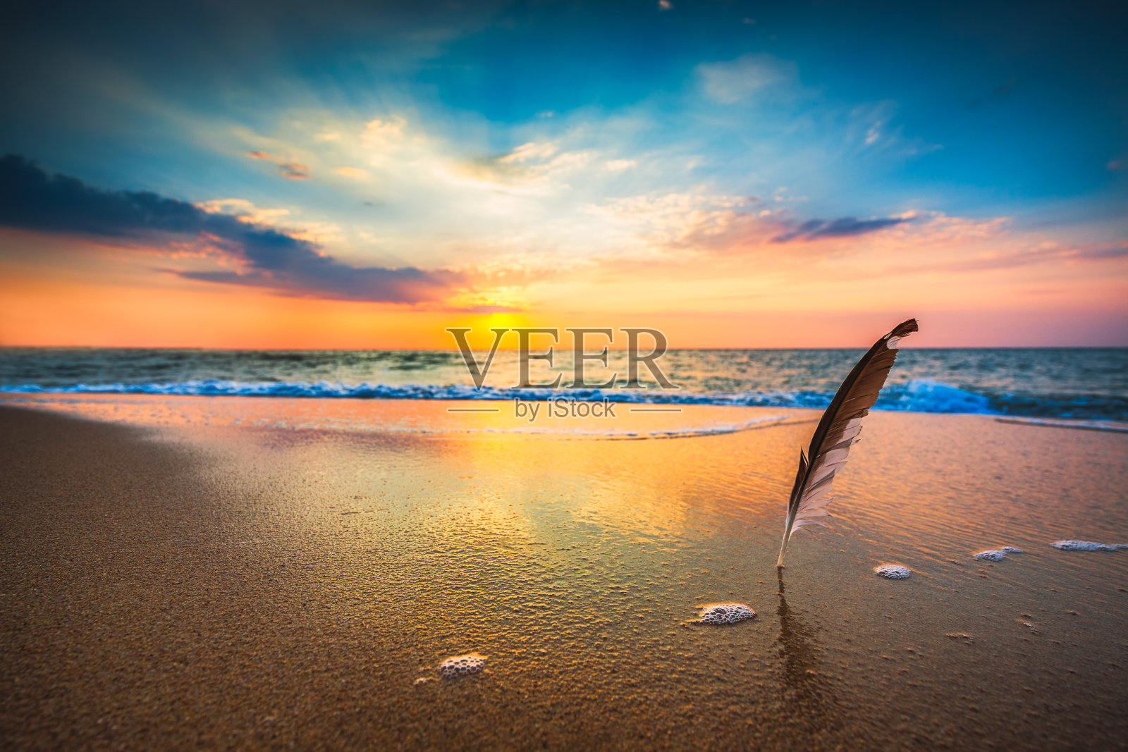 美丽的海面日出，海鸥的羽毛插在沙滩上照片摄影图片