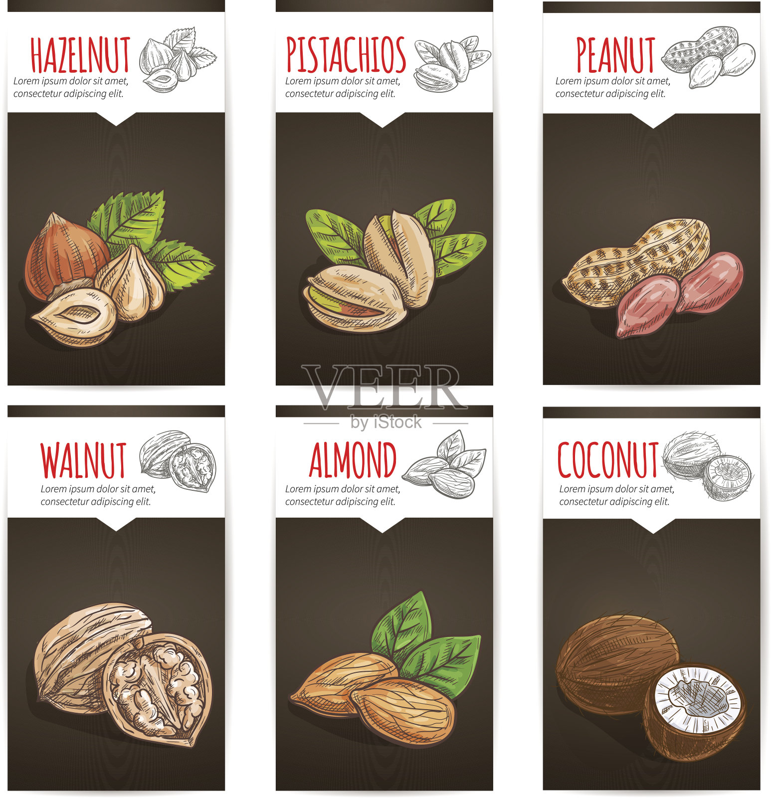 有标题的坚果、谷物和玉米粒海报插画图片素材