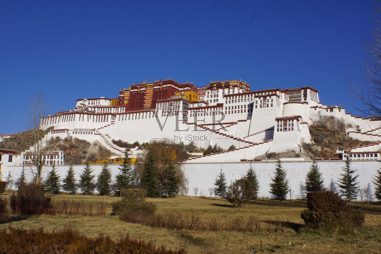 布达拉宫(西藏拉萨)照片摄影图片