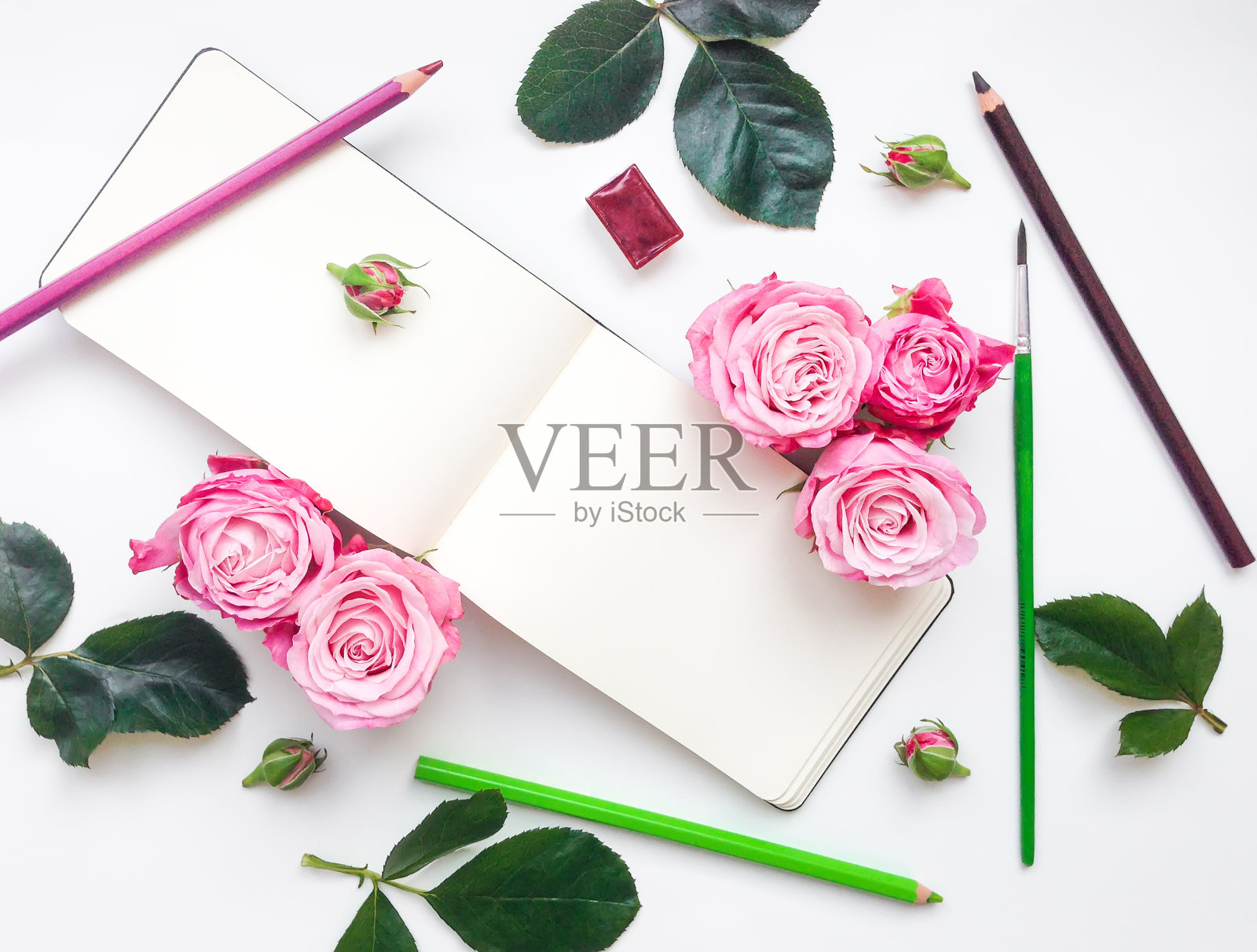 用素描簿、玫瑰和铅笔组成的彩色构图。平躺照片摄影图片