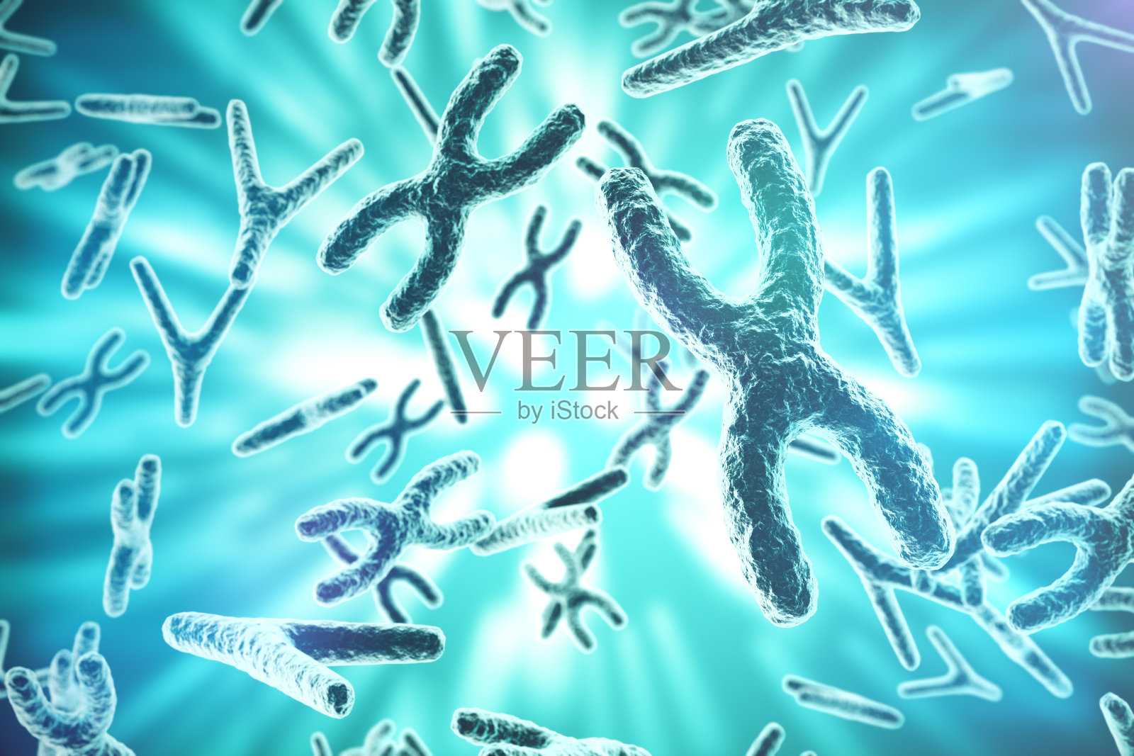 xy染色体作为人类生物学概念中的医学符号插画图片素材