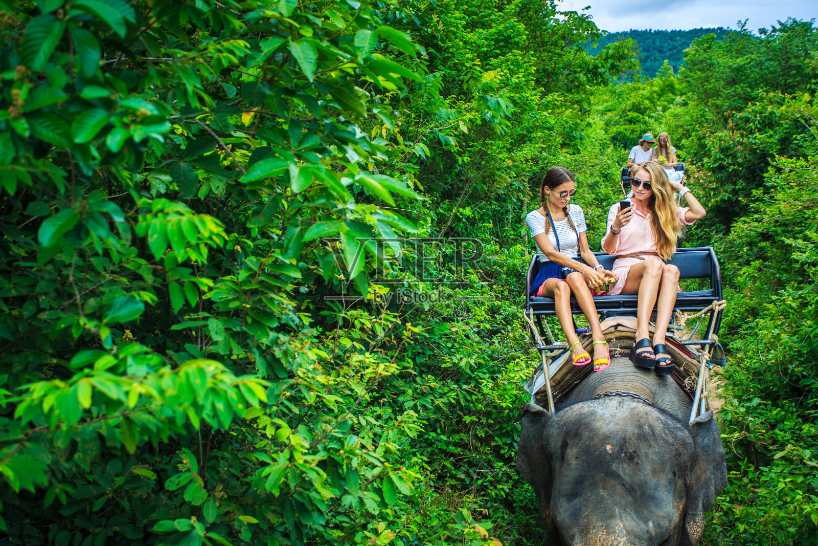一群泰国游客骑着大象穿过丛林照片摄影图片