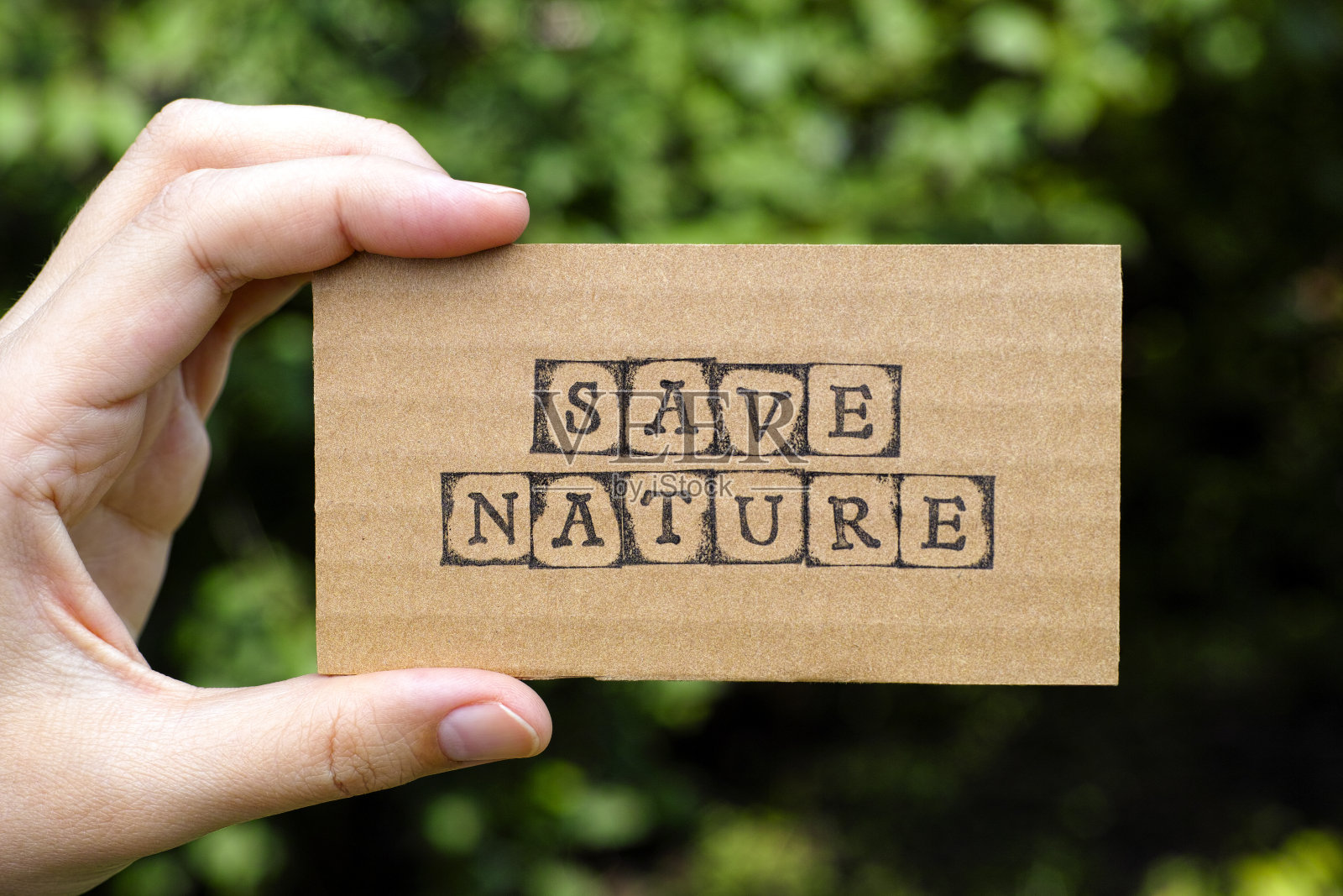 女人手里拿着写着“拯救自然”的纸板照片摄影图片