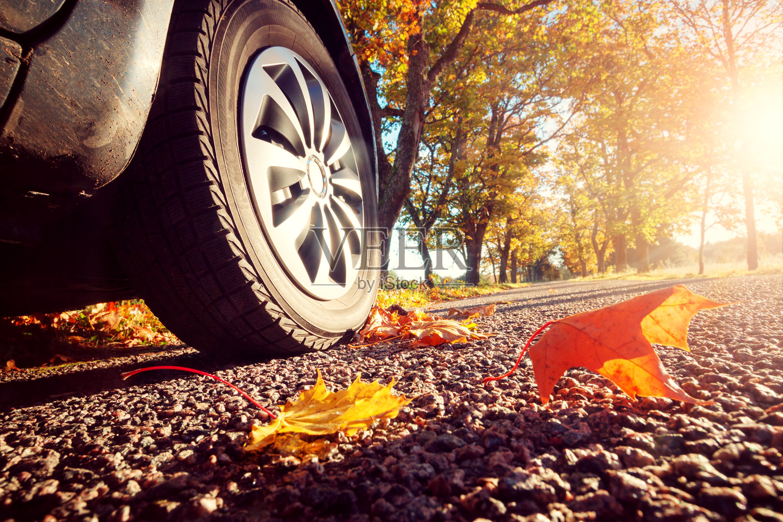 秋天沥青路上的汽车照片摄影图片