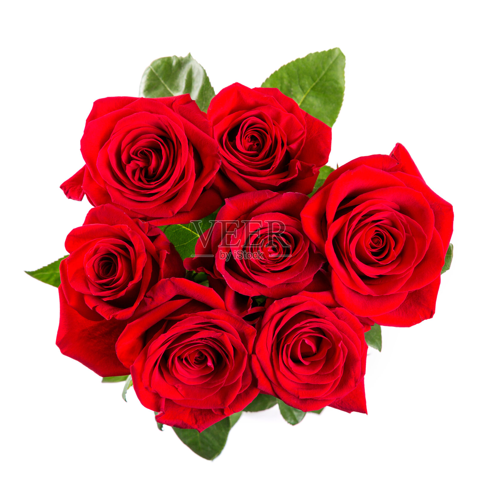 白色背景上孤立的红玫瑰花束照片摄影图片