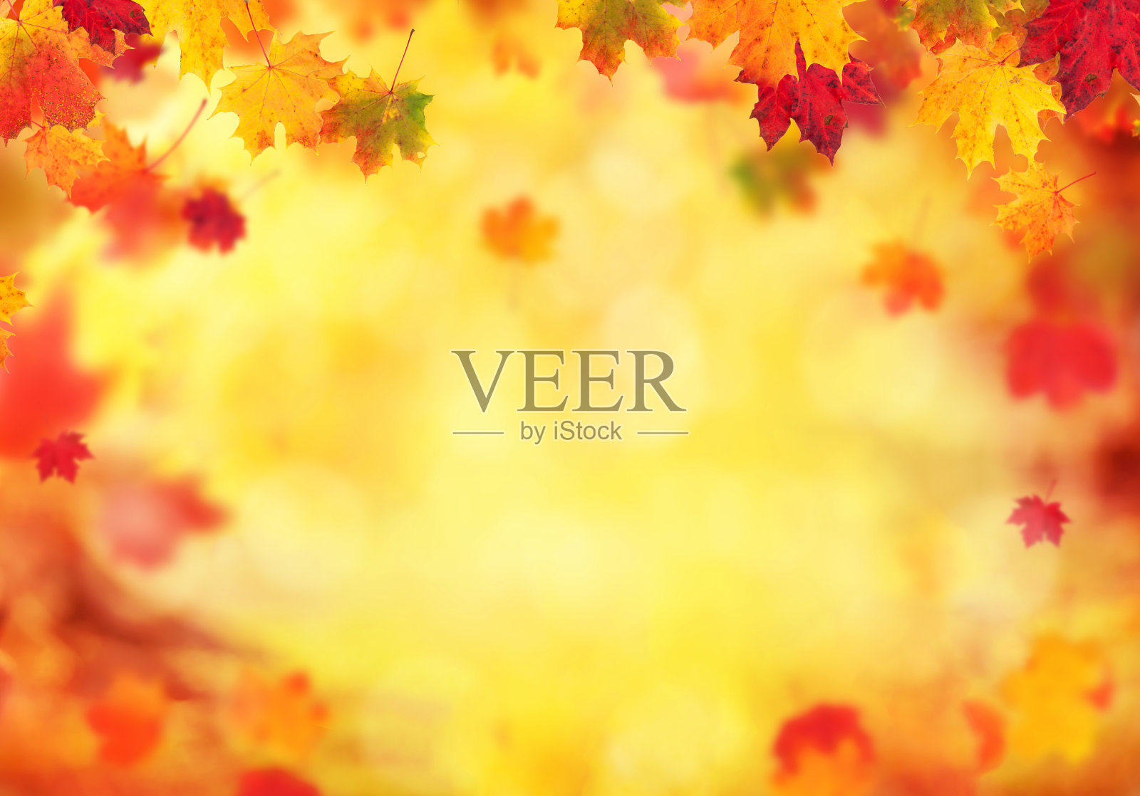 秋天抽象的背景与落叶照片摄影图片