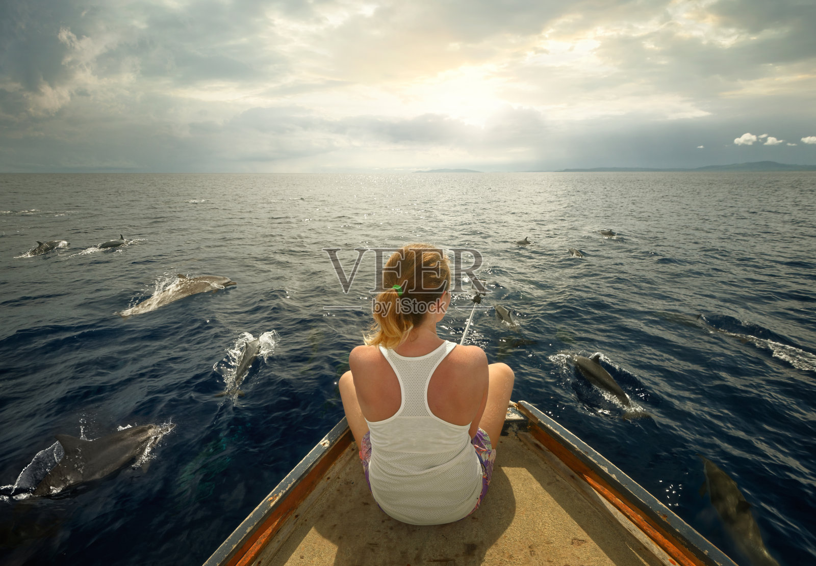 年轻的旅行者坐在船上拍摄一群海豚照片摄影图片